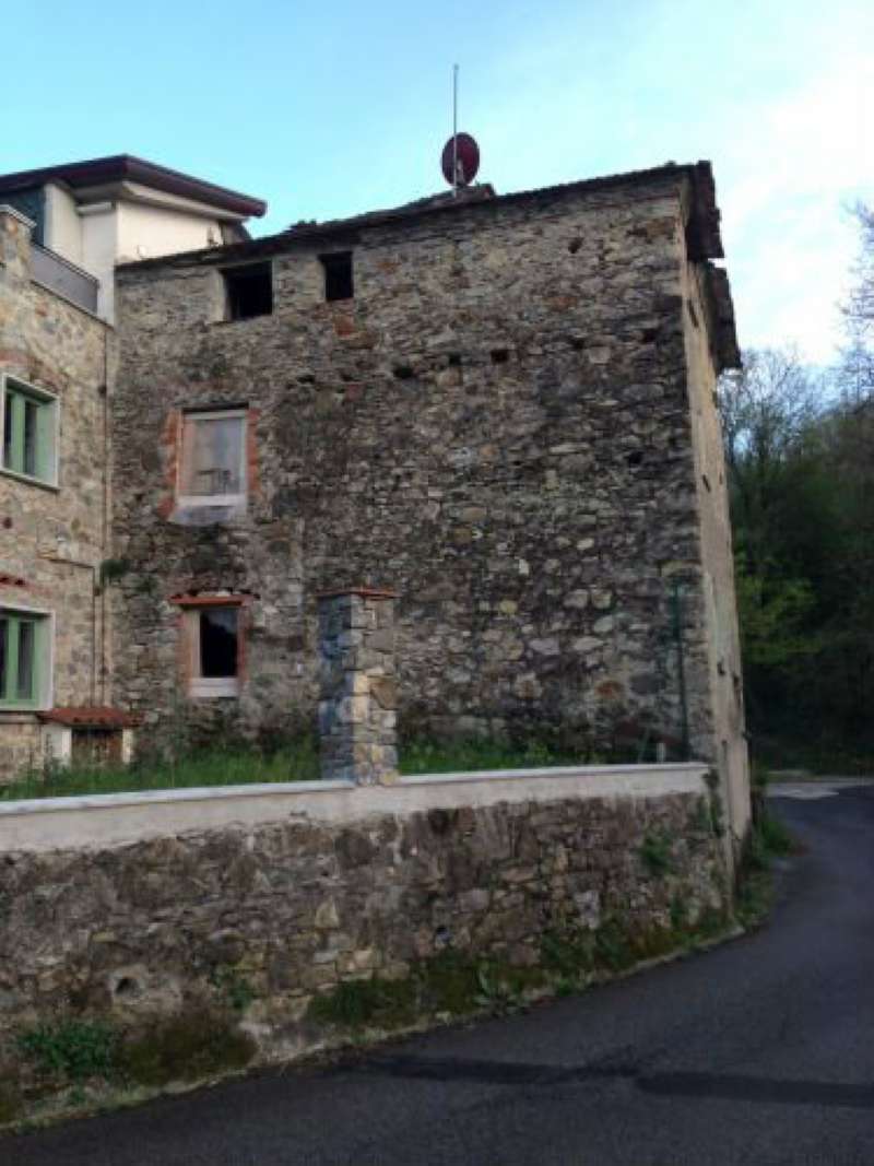 Rustico - Cascina FOSDINOVO vendita    Luchesini immobiliare