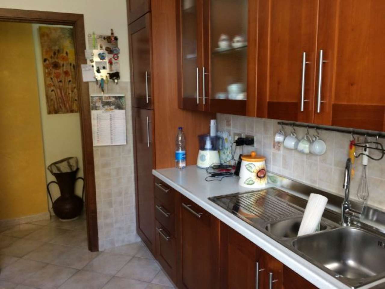 Appartamento SARZANA vendita    Luchesini immobiliare