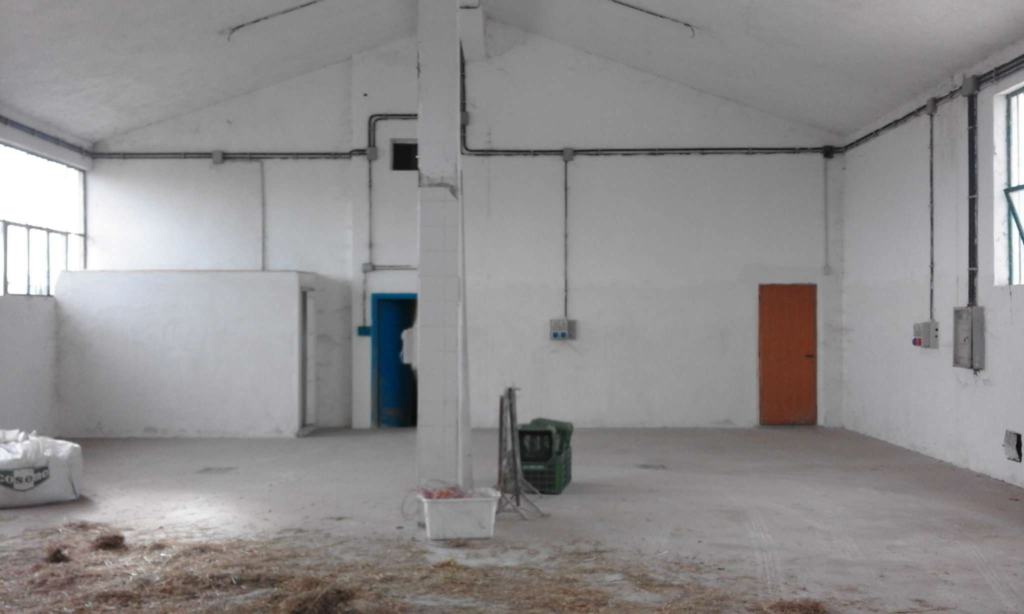 Capannoni (Tutti) ROMA affitto  LAURENTINA laurentina RoyalHouse