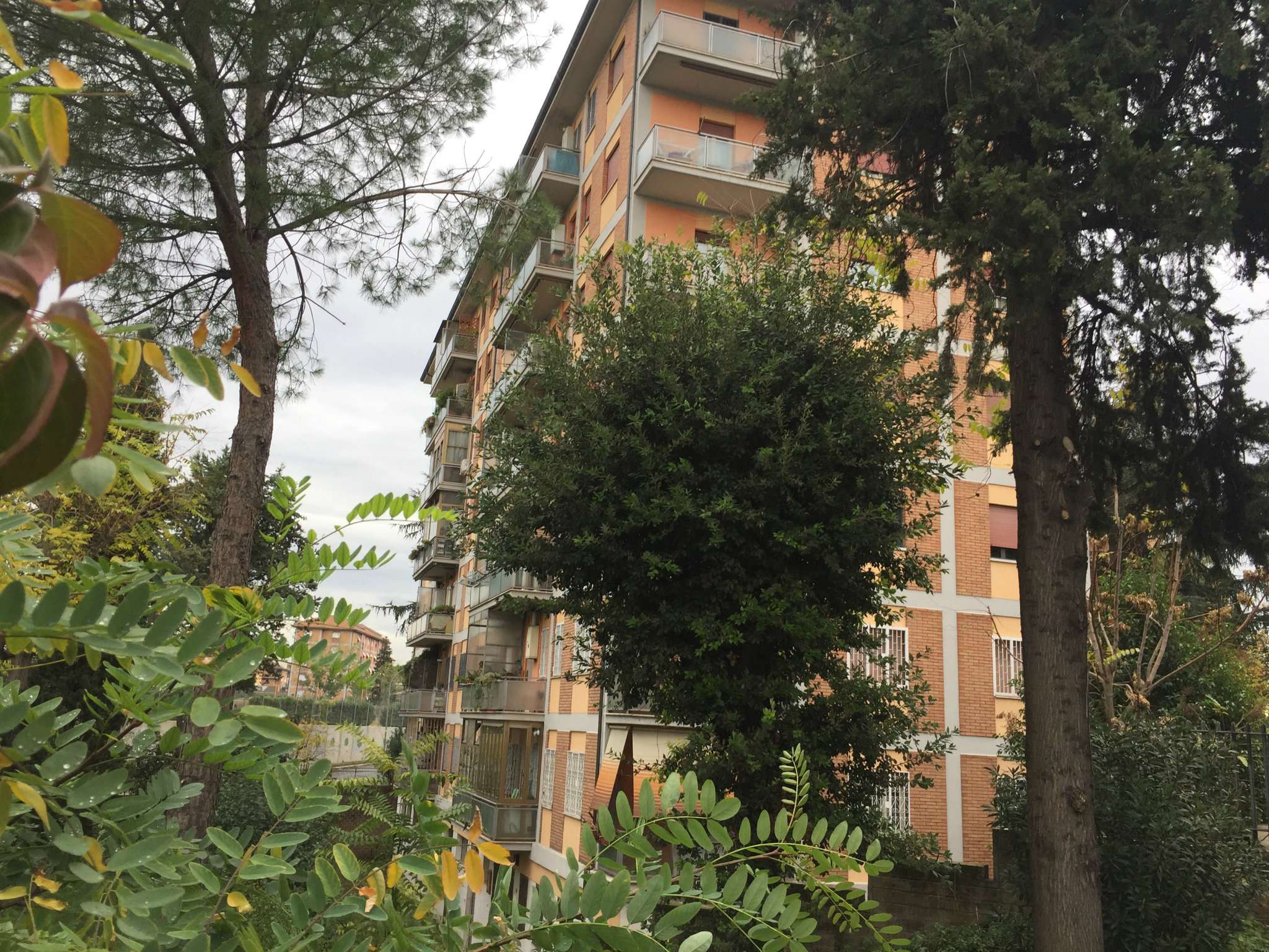 Appartamento ROMA vendita   dei romanisti RoyalHouse