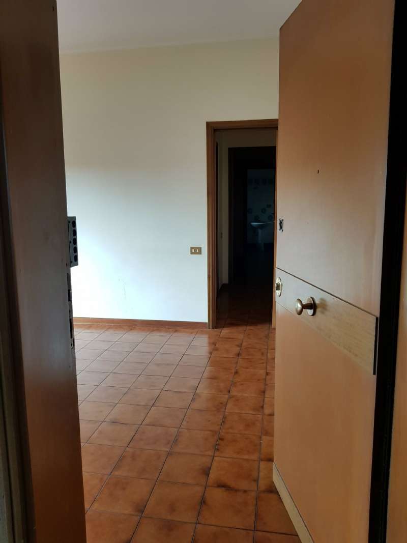 Appartamento ROMA affitto  TUSCOLANO (VI MUN.) Polia RoyalHouse