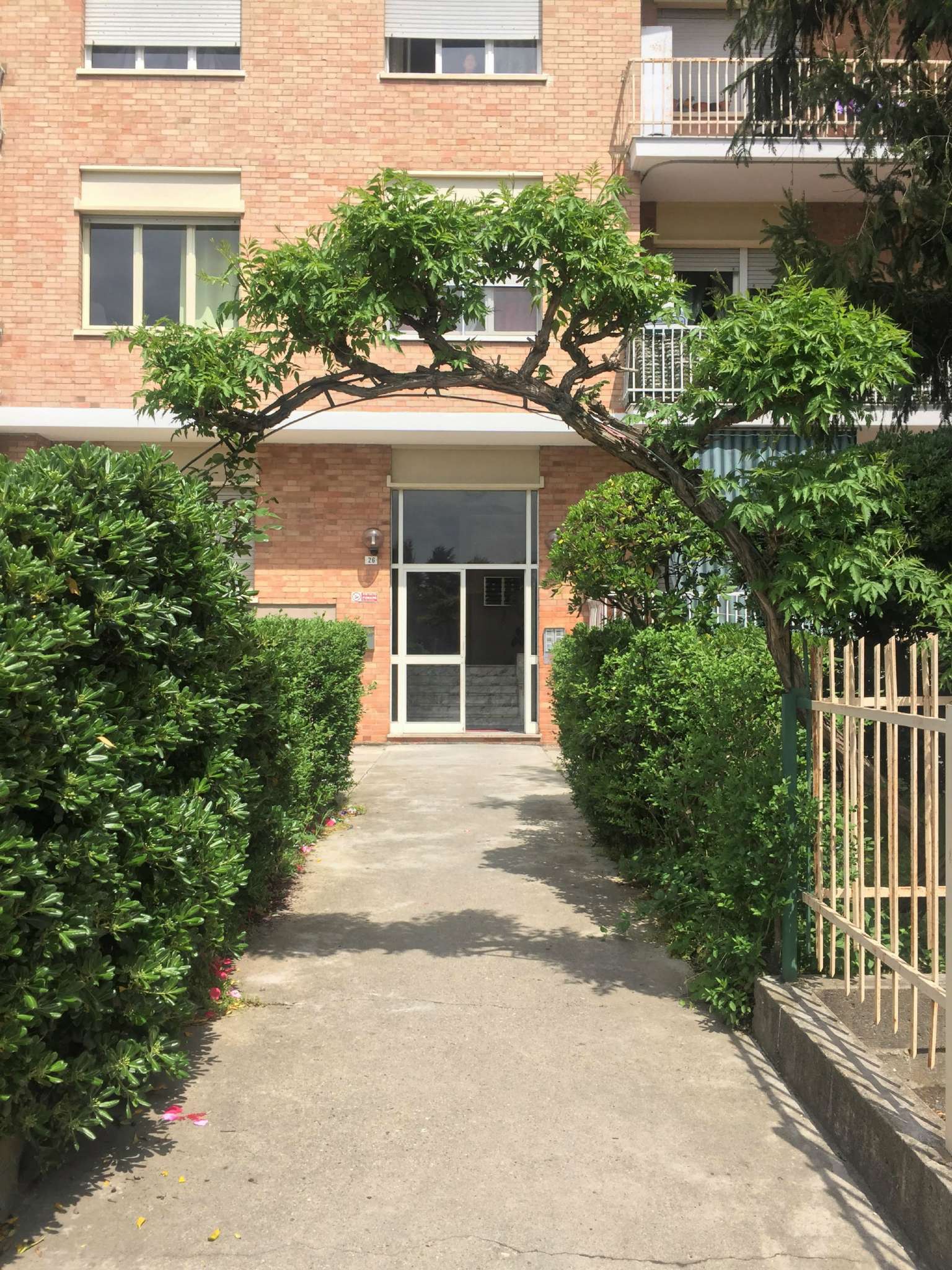 Appartamento RIVOLI affitto   Pisa STUDIO IMMOBILIARE FREJUS S.A.S.