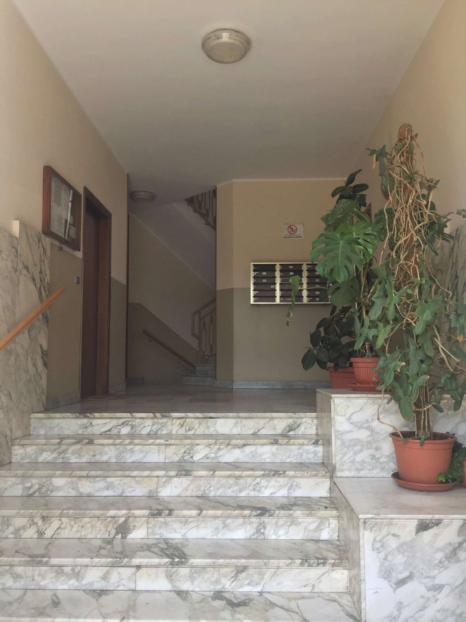 Appartamento RIVOLI affitto   Pisa STUDIO IMMOBILIARE FREJUS S.A.S.