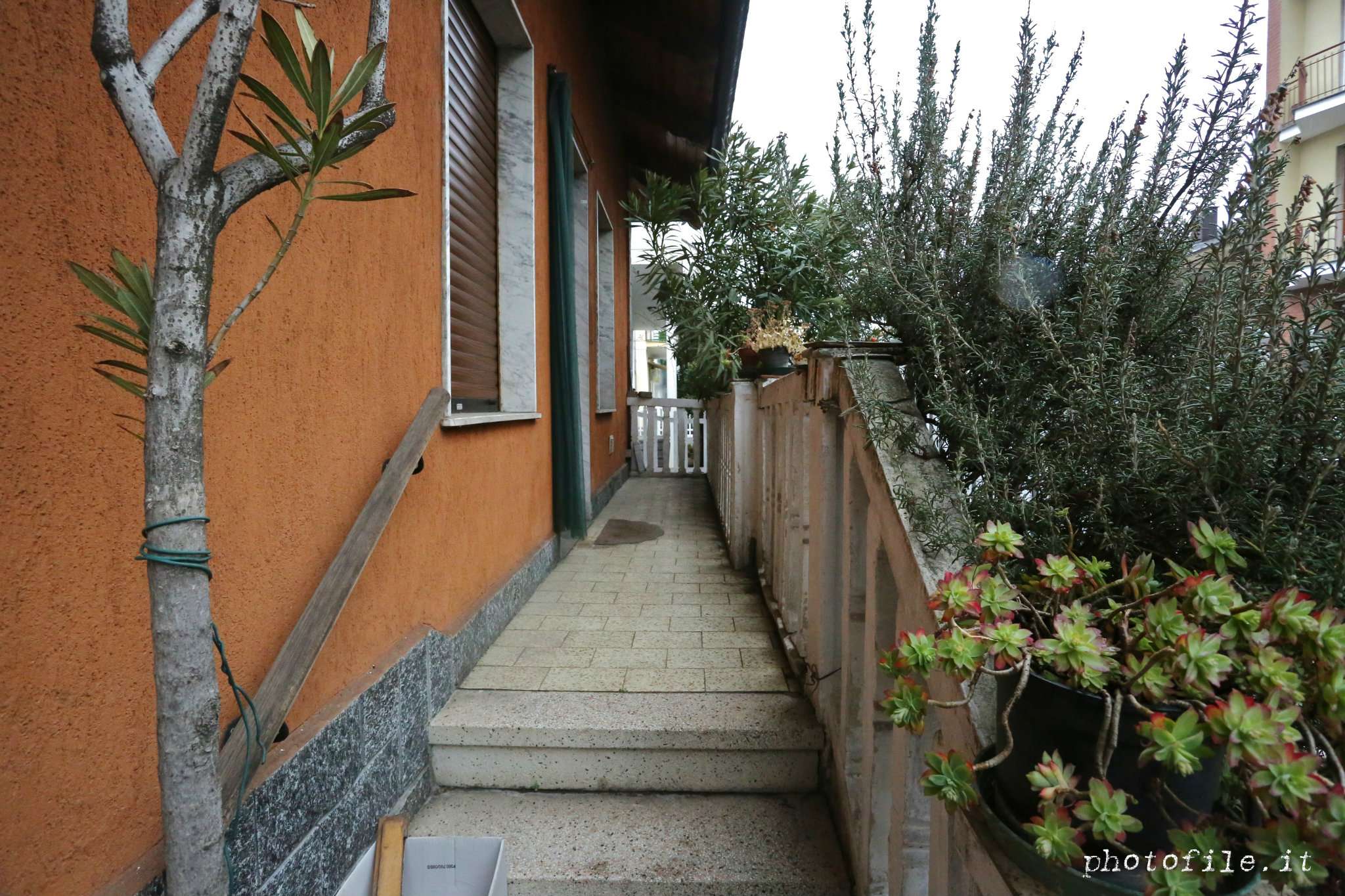 Villa GRUGLIASCO vendita   GENERALE CANTORE IMMOBILIARE GRUGLIASCO DI NURRA SIMONE