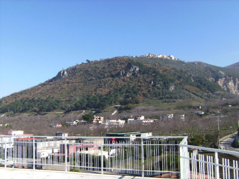Appartamento Vendita Palma Campania