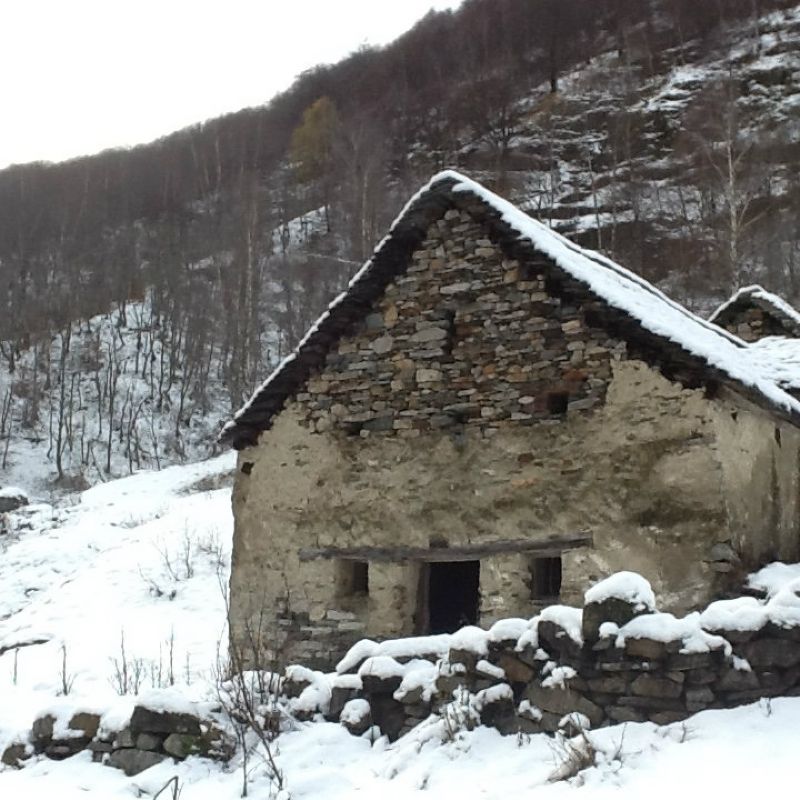 Baita - Chalet - Trullo SANTA MARIA MAGGIORE vendita   val del Basso Aldo Home