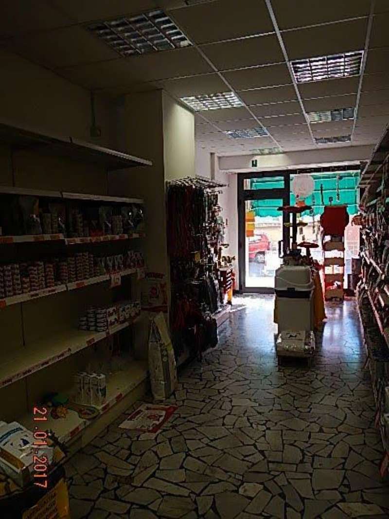  genova affitto quart: borgoratti studio-palazzo-sas