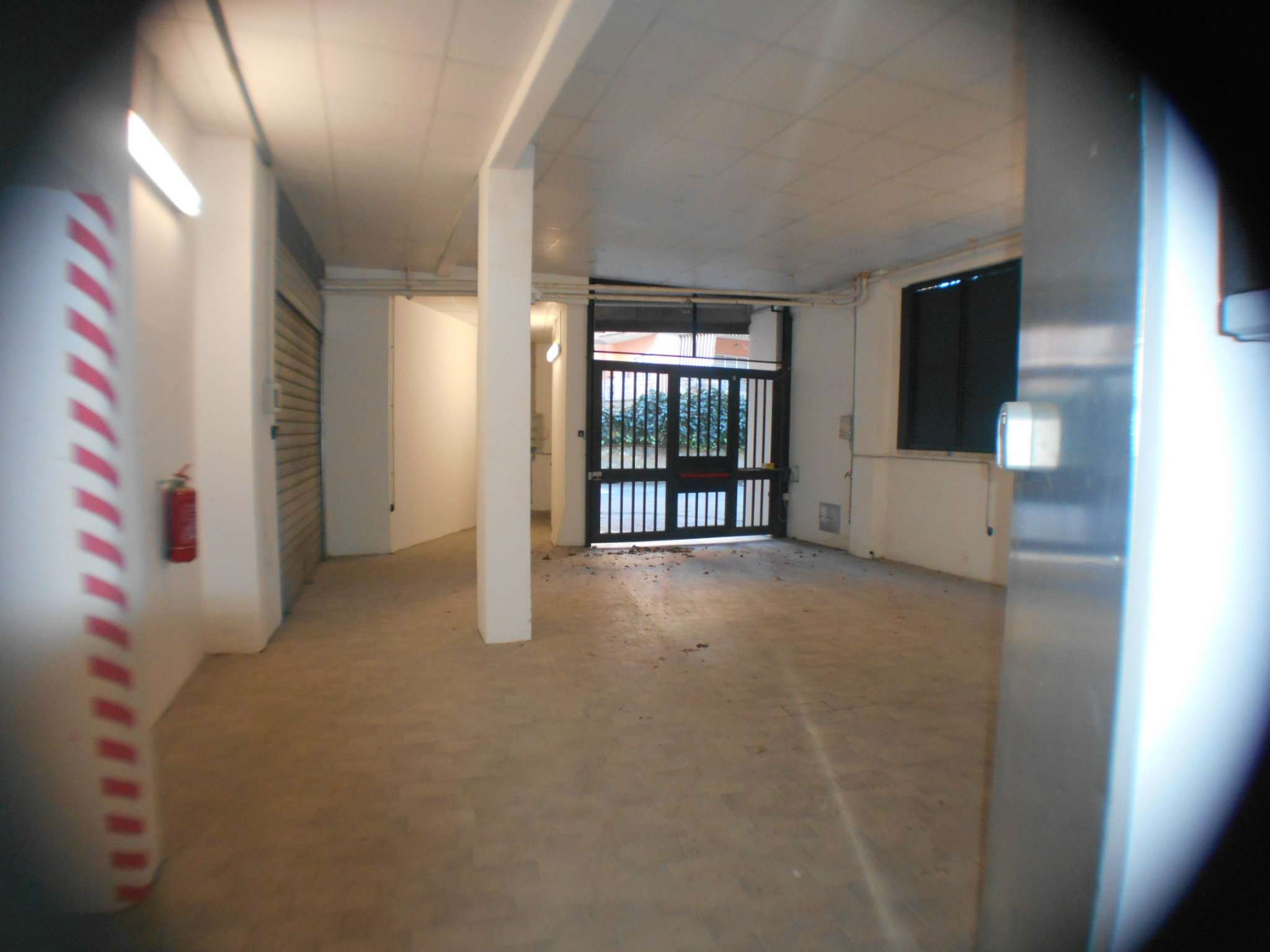  roma affitto quart: trieste (ii mun.) immobiledil