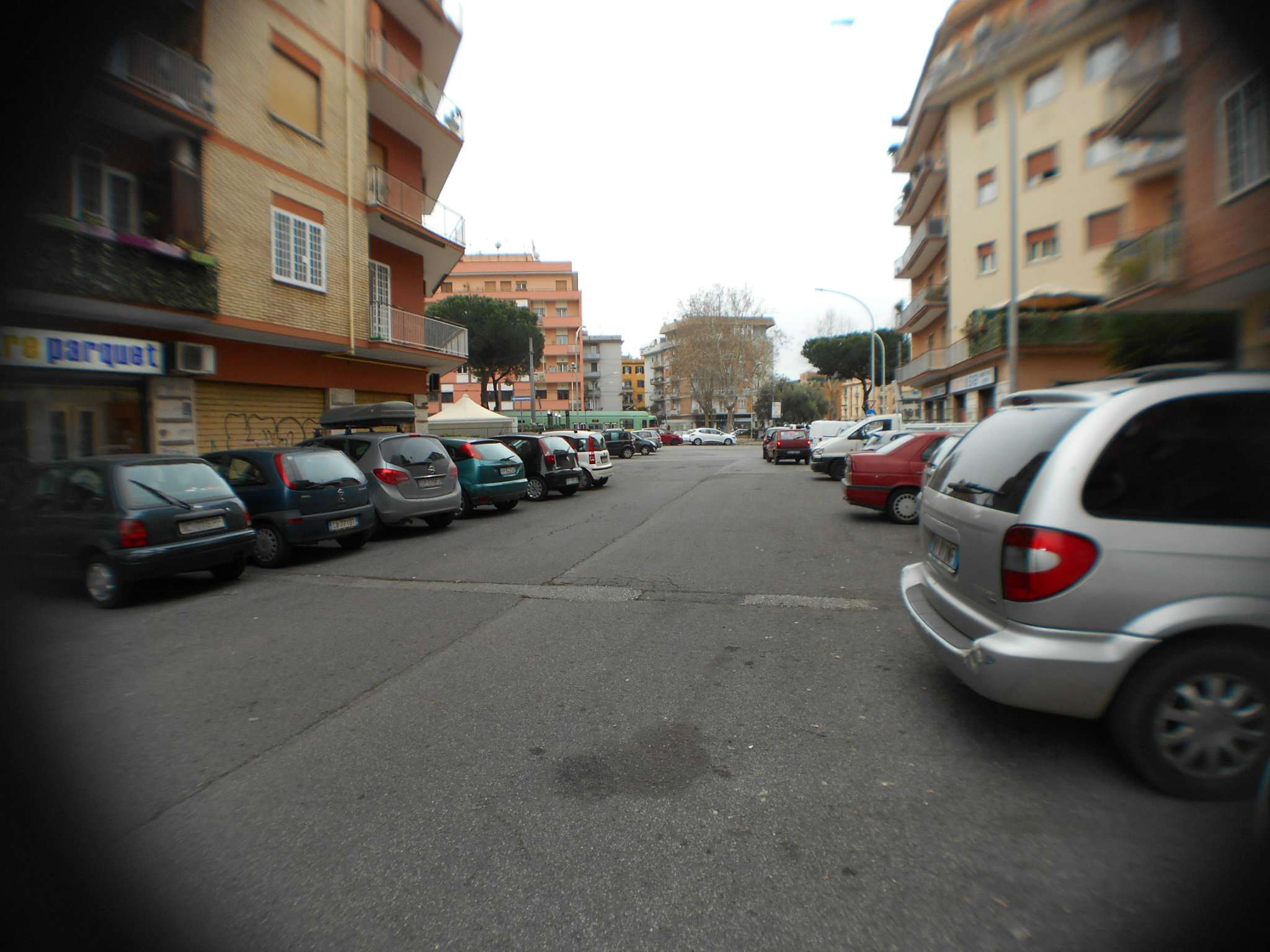 Negozio - Loc.Com. ROMA vendita  PRENESTINO - CENTOCELLE  dei Rododendri IMMOBILEDIL