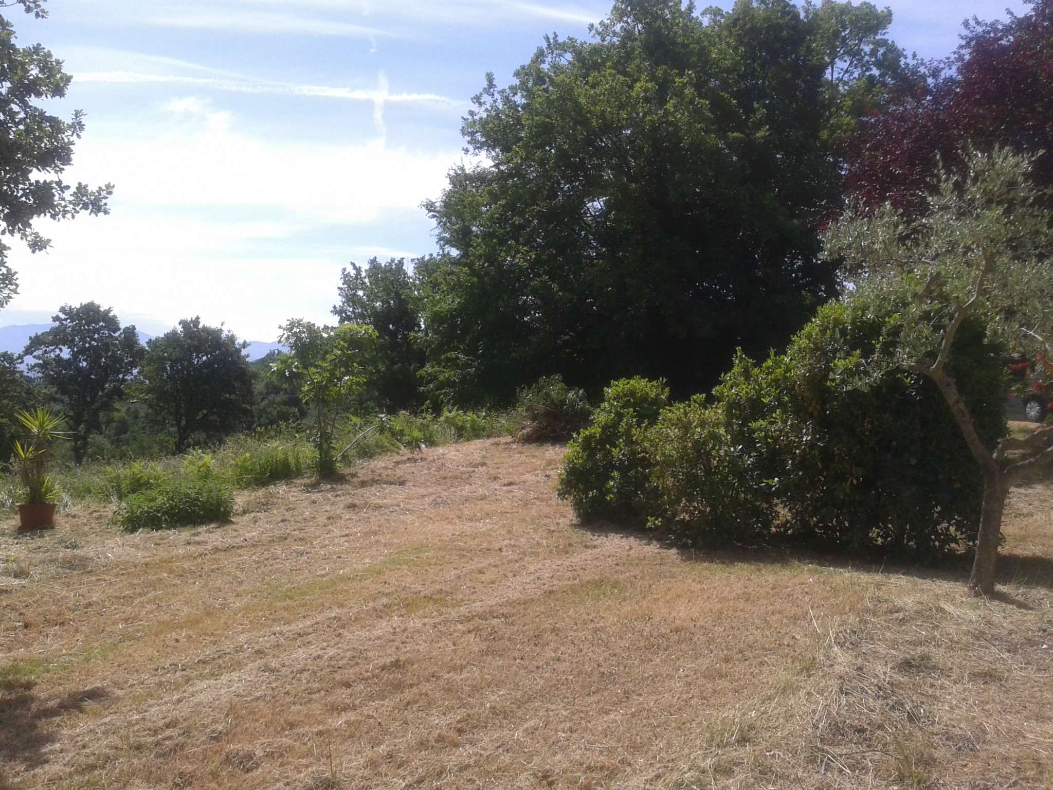 Villa Trifamiliare FIANO ROMANO vendita   Guancerosse IMMOBILEDIL