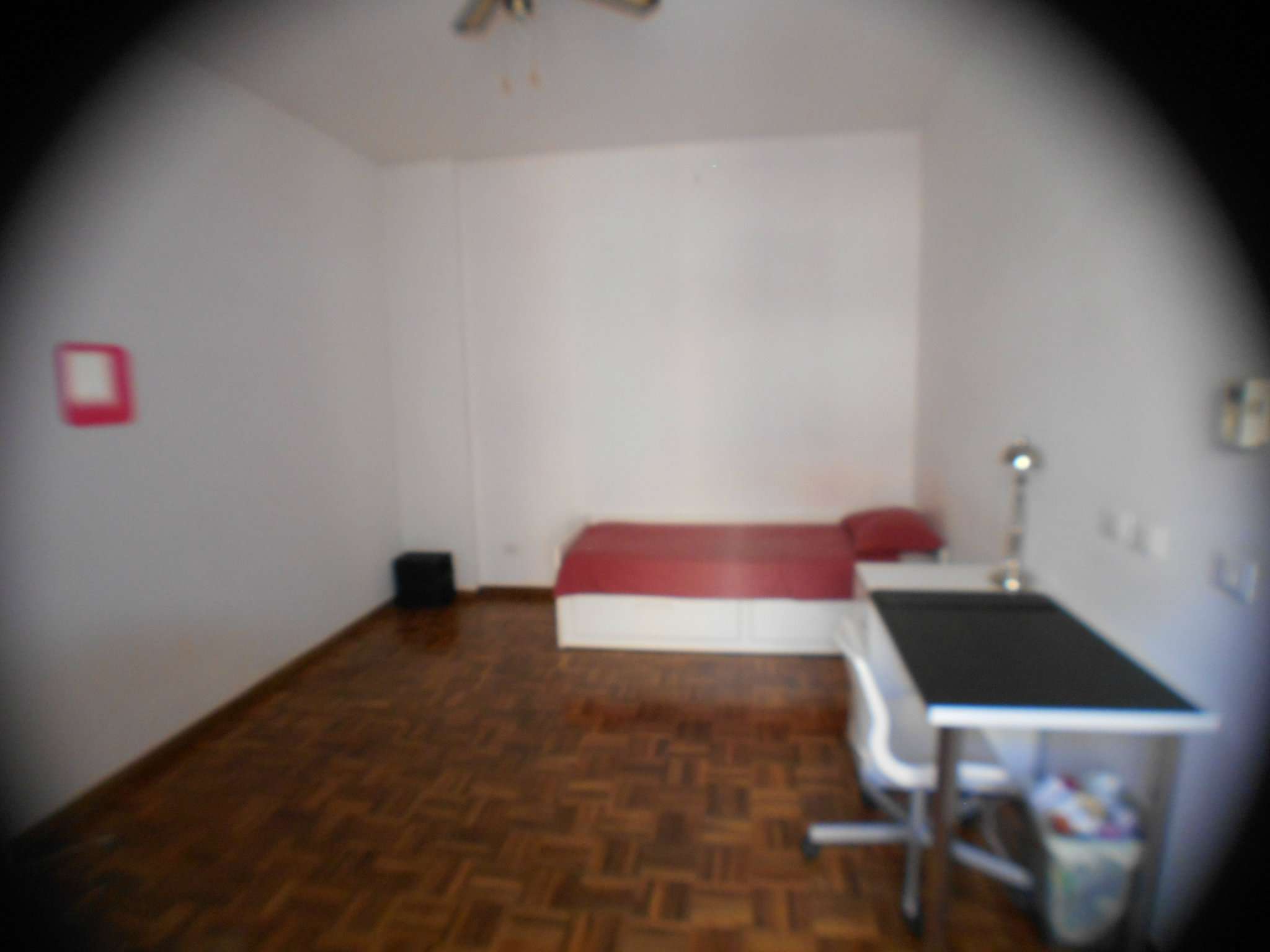 Appartamento ROMA affitto  TRIESTE (II MUN.) di Villa Chigi IMMOBILEDIL