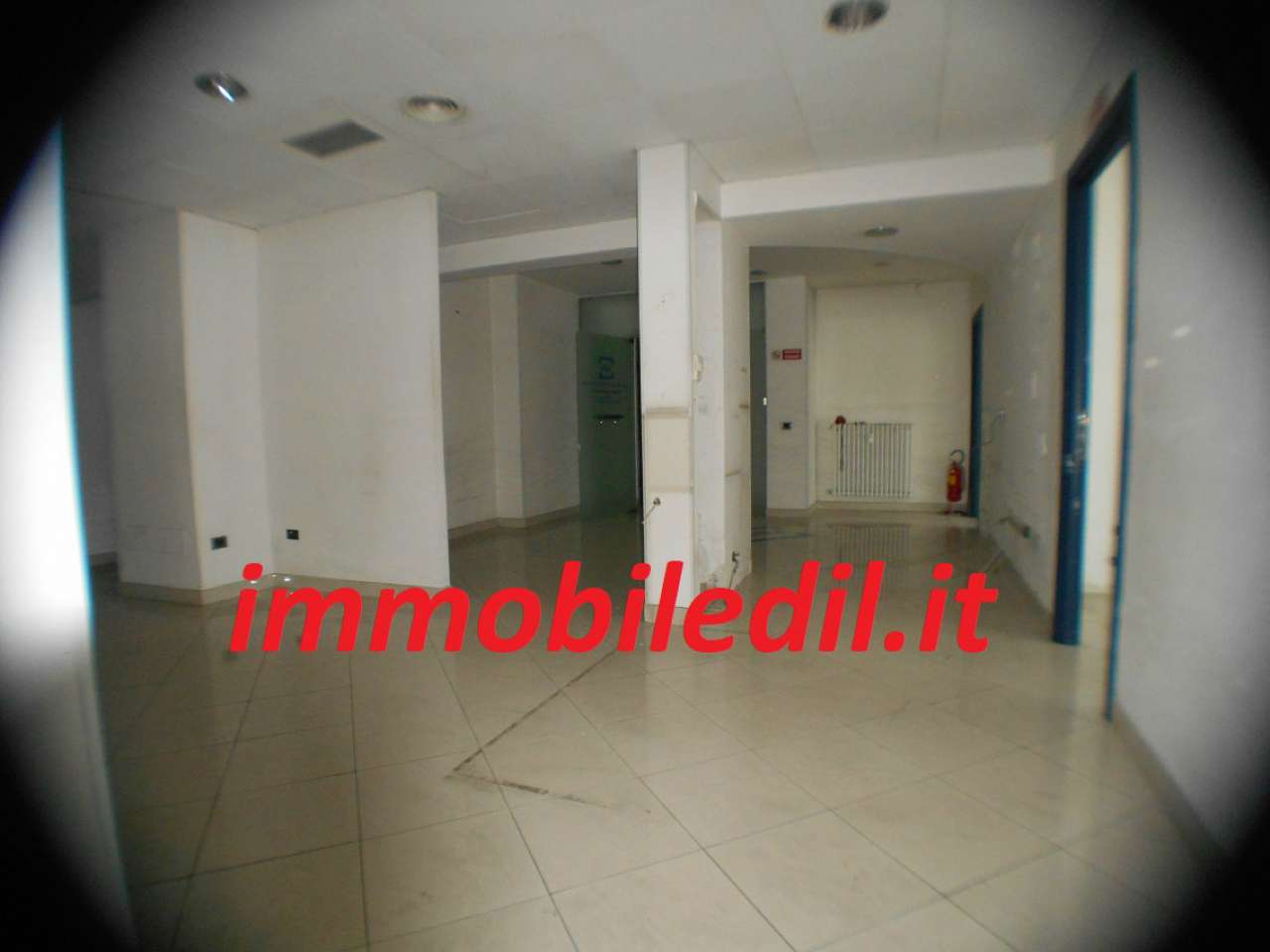 Ufficio - Loc.Com. ROMA affitto  FLAMINIO  Salaria IMMOBILEDIL