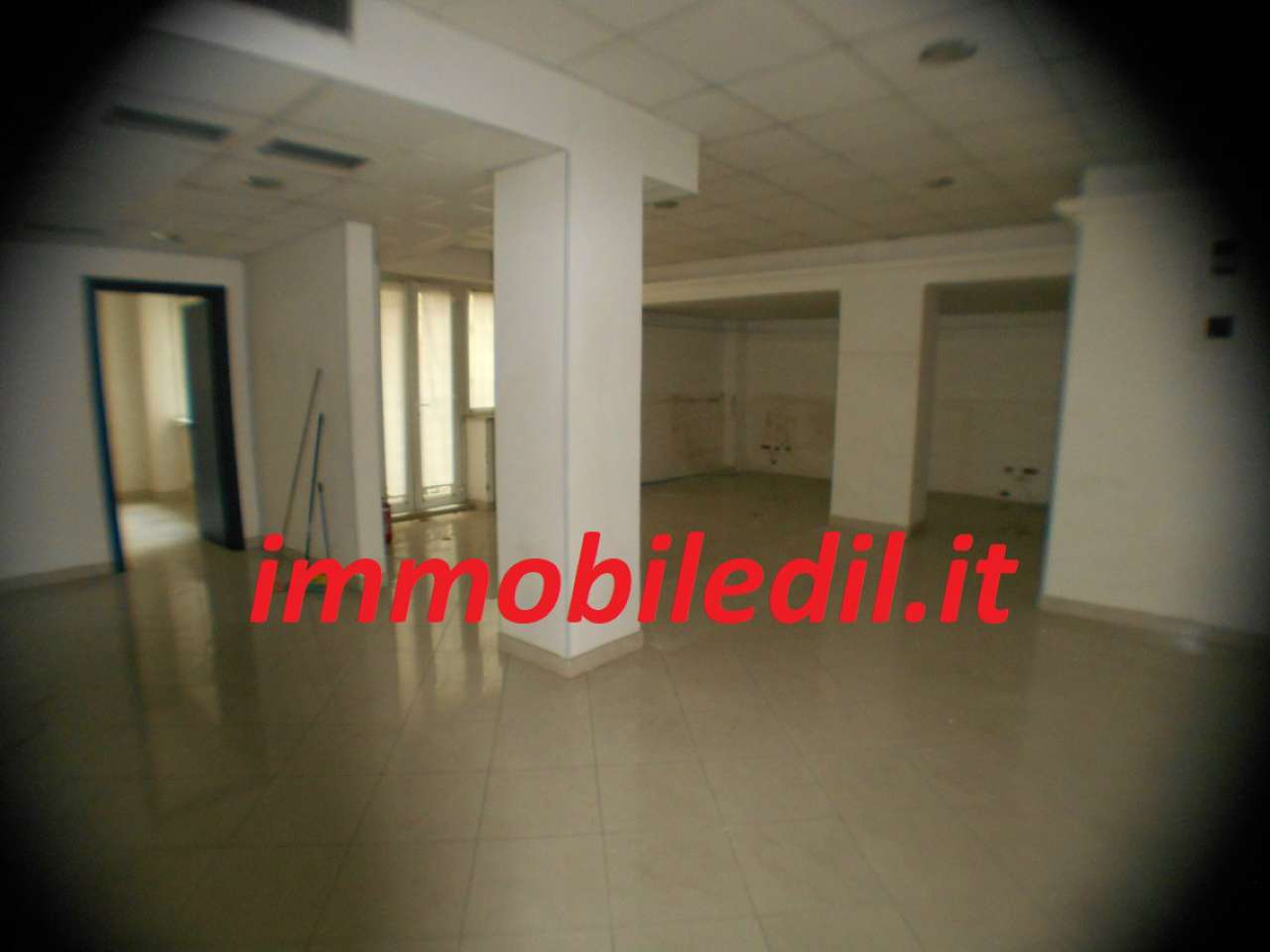 Ufficio - Loc.Com. ROMA affitto  FLAMINIO  Salaria IMMOBILEDIL