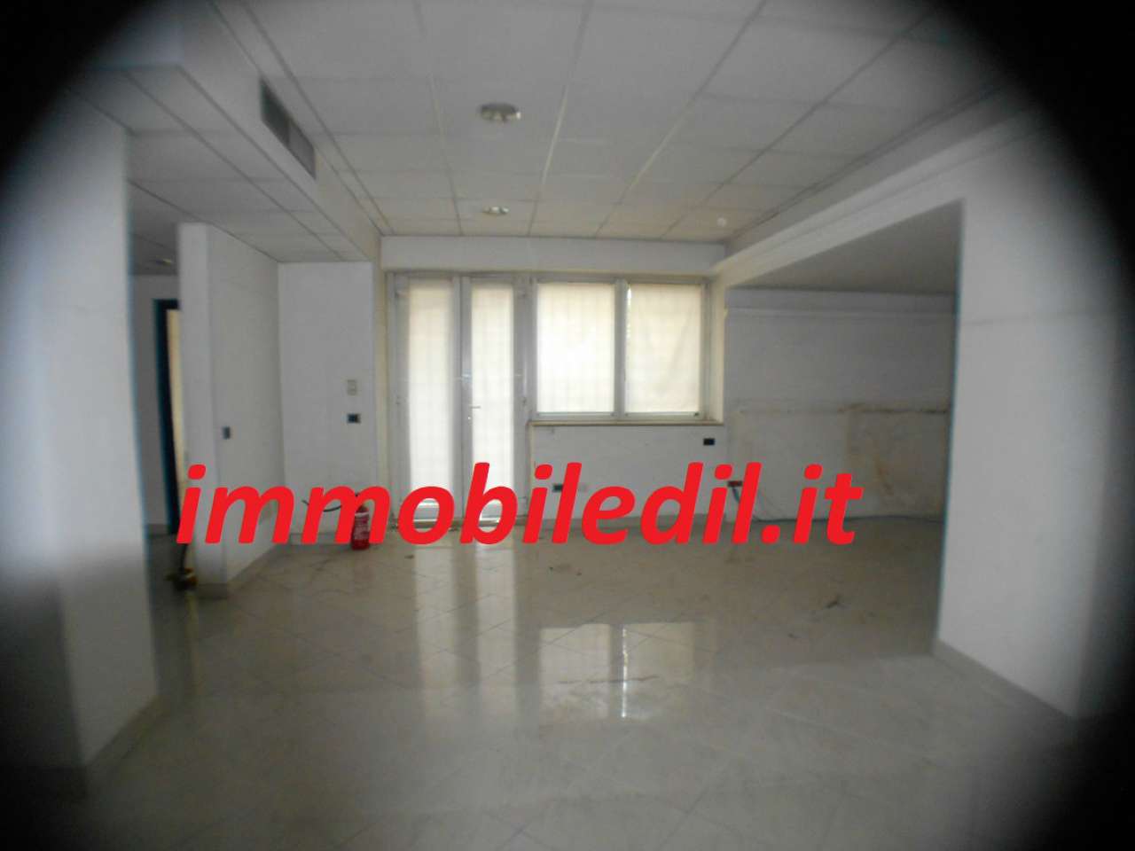  roma affitto quart: flaminio  immobiledil