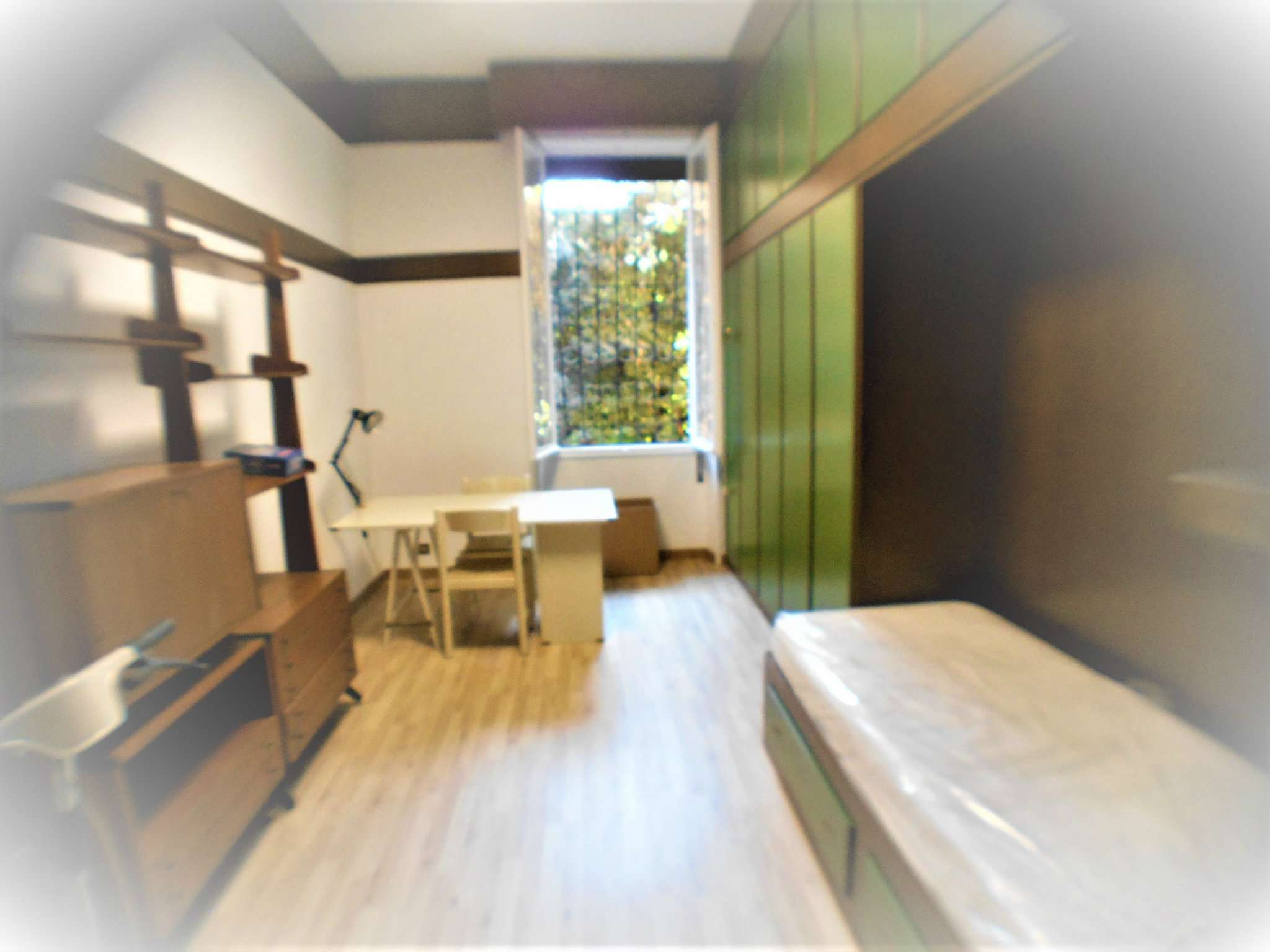 Appartamento ROMA affitto  TRIESTE (II MUN.) Capodistria IMMOBILEDIL