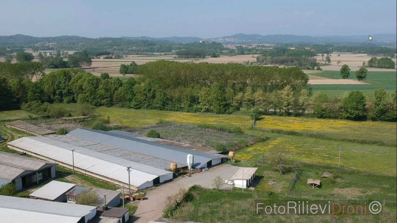 Appartamento MONCRIVELLO vendita    Sinergia Casa