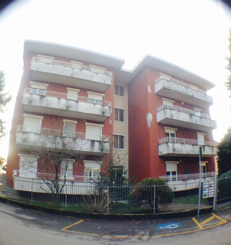 Appartamento BUSTO ARSIZIO vendita   Marmolada Immobiliare la Clessidra S.a.S