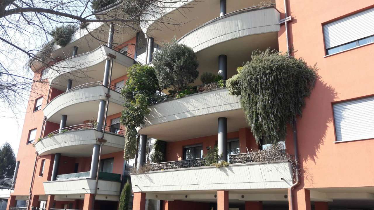 Appartamento BUSTO ARSIZIO affitto    Immobiliare la Clessidra S.a.S