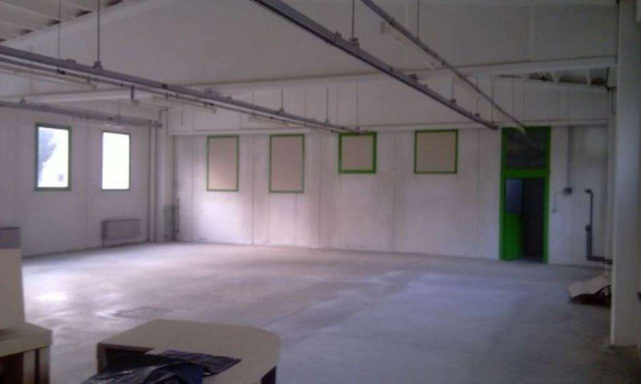 Capannoni (Tutti) VARESE affitto  BELFORTE  Cava Immobiliare