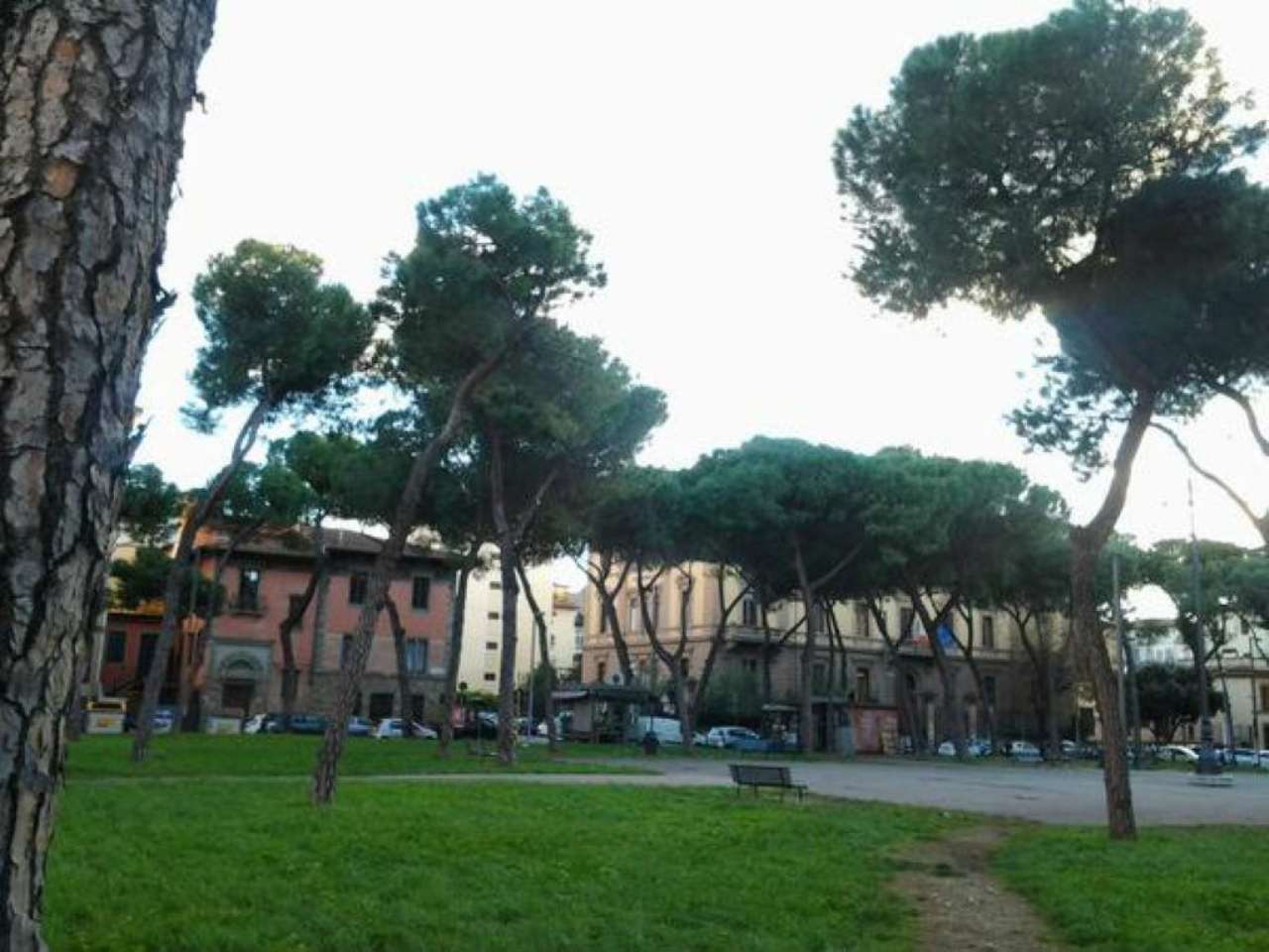 Ufficio - Loc.Com. FIRENZE vendita  VIALI Poliziano IMMOBILIARE