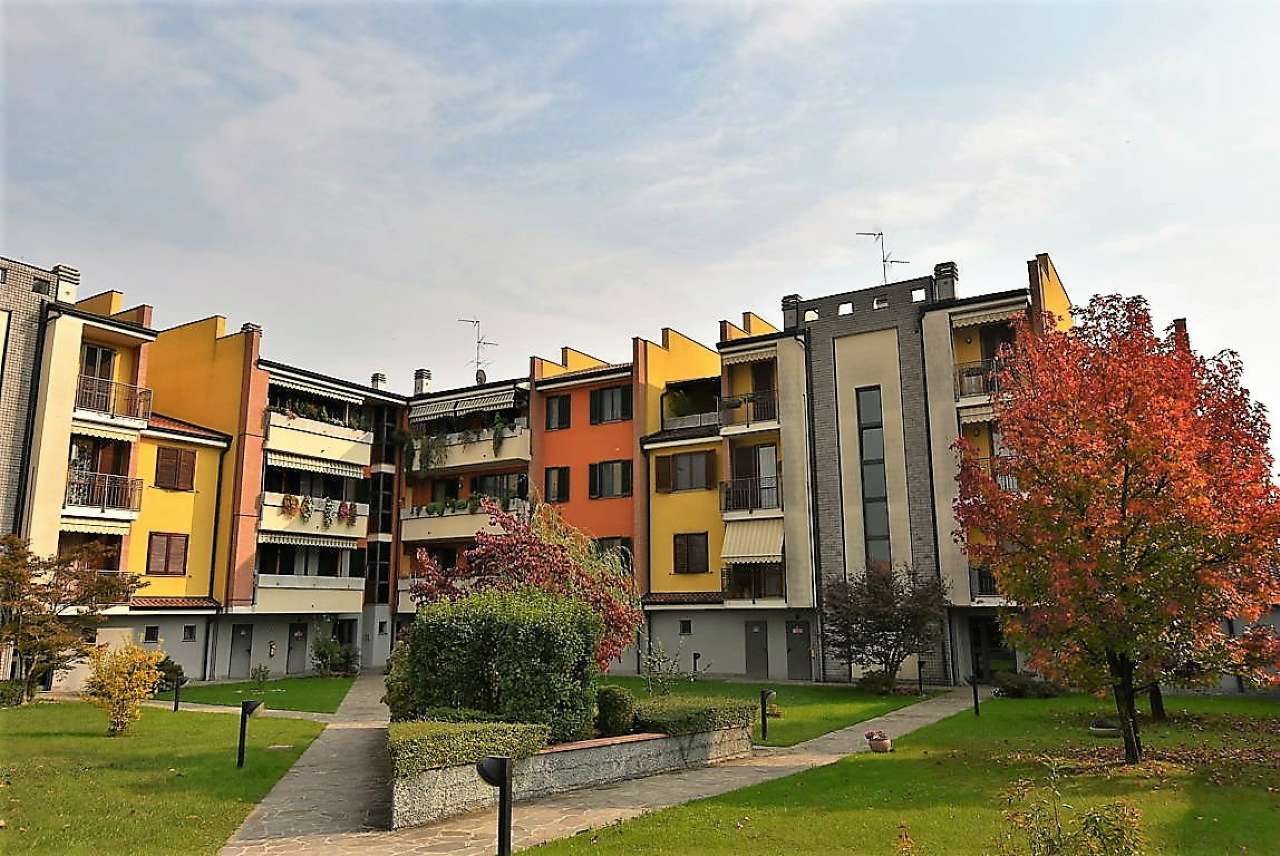 Appartamento CASALMAIOCCO vendita   Carducci Immobiliare 2001 srl