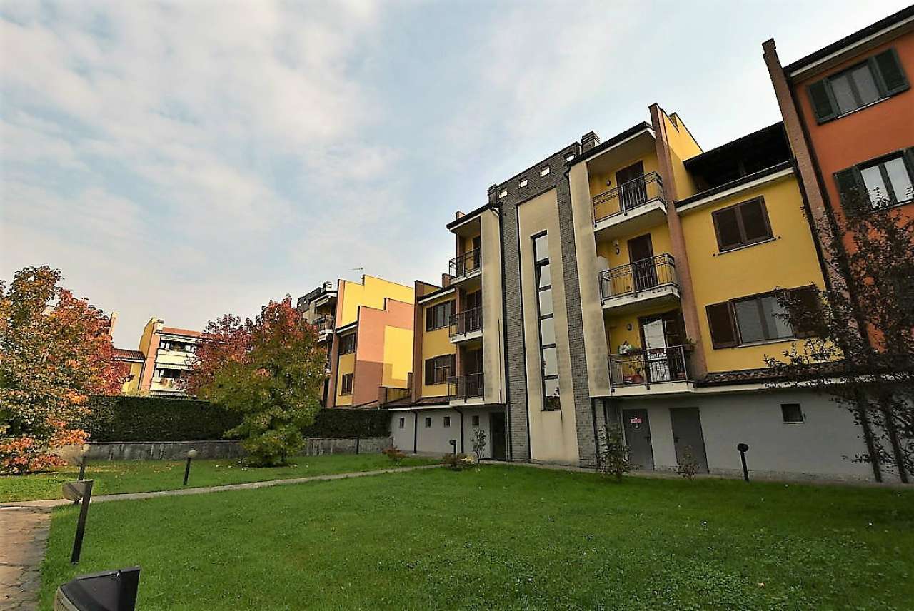 Appartamento CASALMAIOCCO vendita   Carducci Immobiliare 2001 srl