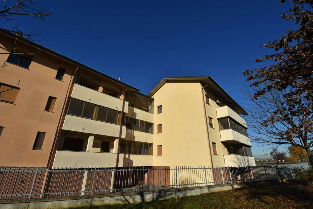 Appartamento MULAZZANO vendita   delle Robinie Immobiliare 2001 srl