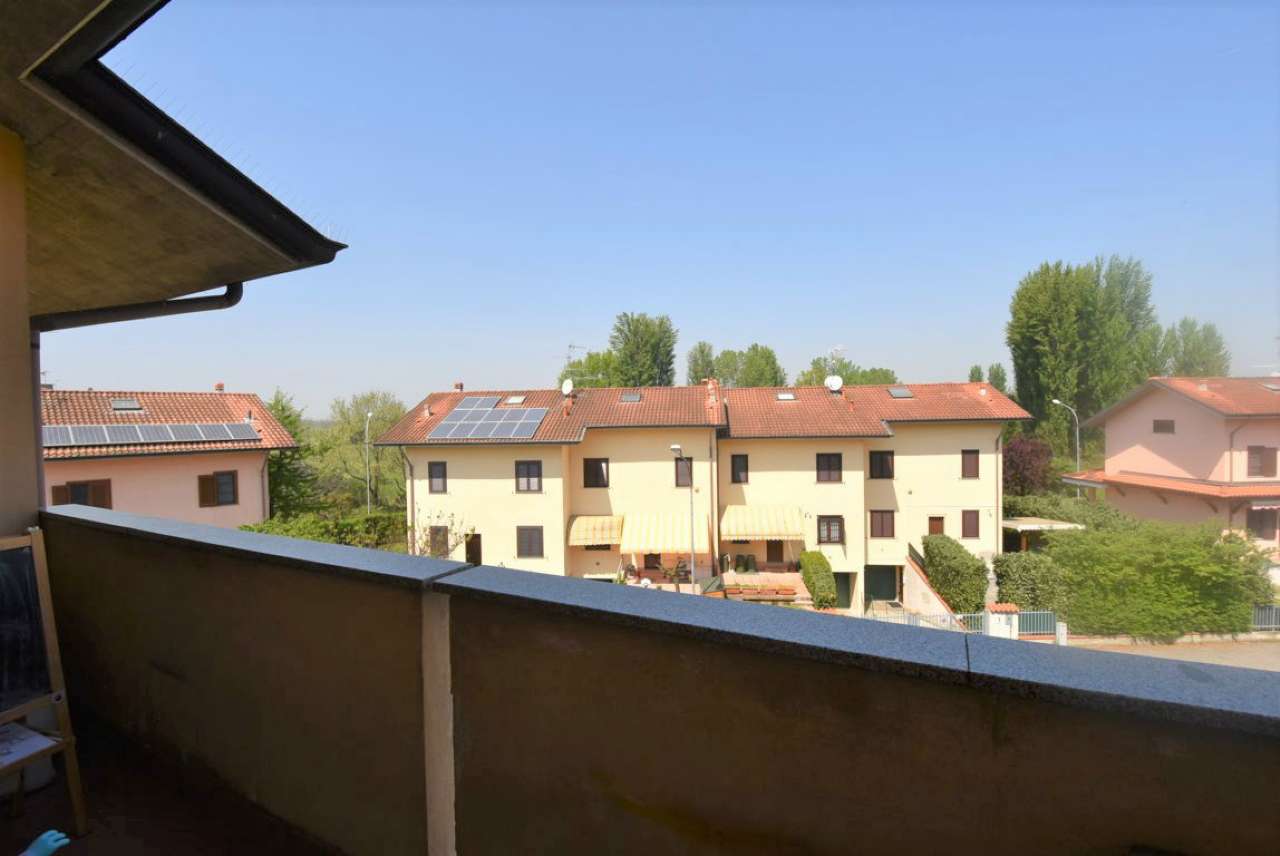 Appartamento MULAZZANO vendita   delle Robinie Immobiliare 2001 srl