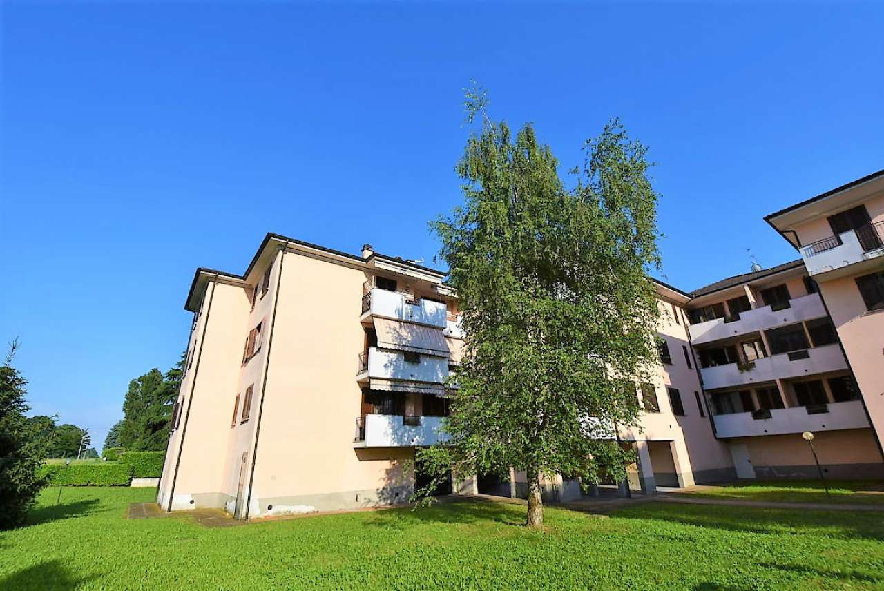 Appartamento VIZZOLO PREDABISSI vendita   Via Sarmazzano Immobiliare 2001 srl