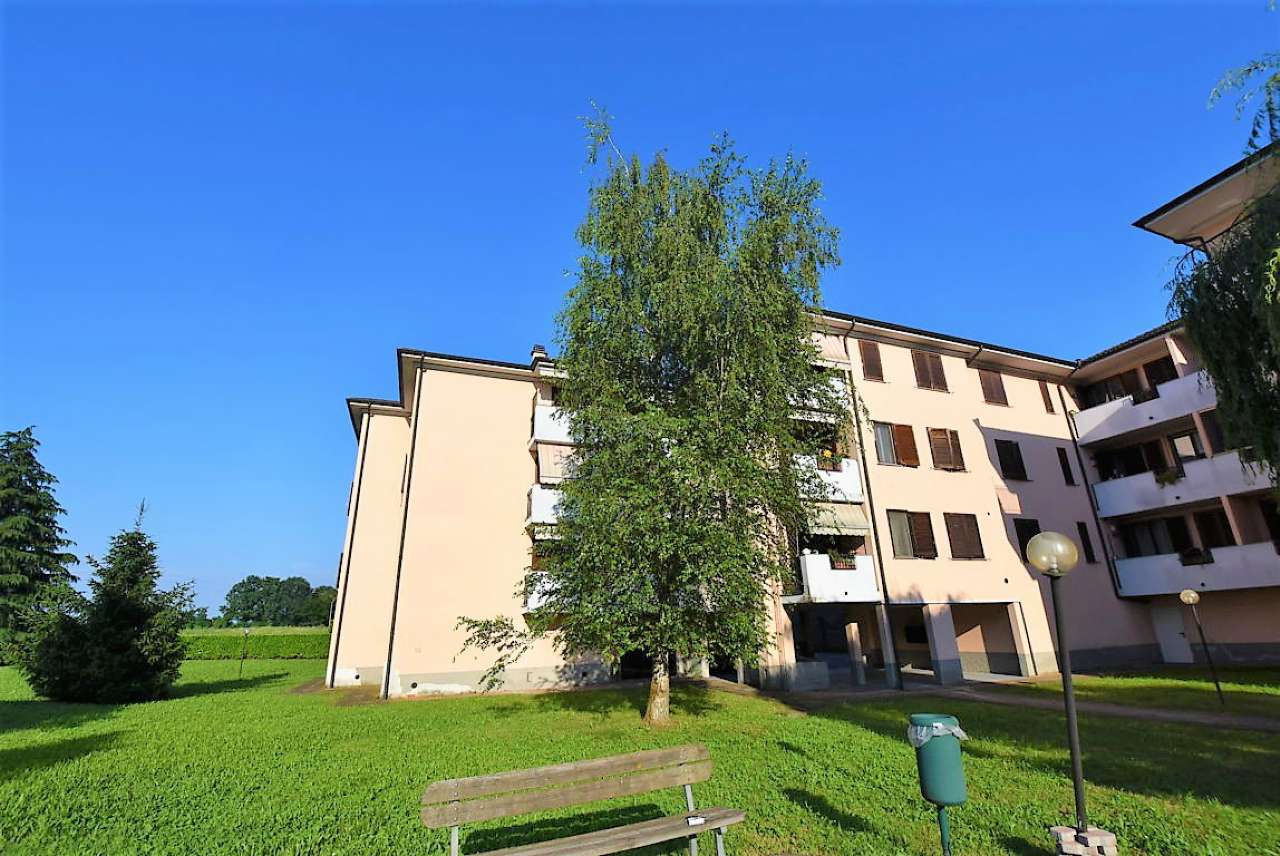 Appartamento VIZZOLO PREDABISSI vendita   Via Sarmazzano Immobiliare 2001 srl