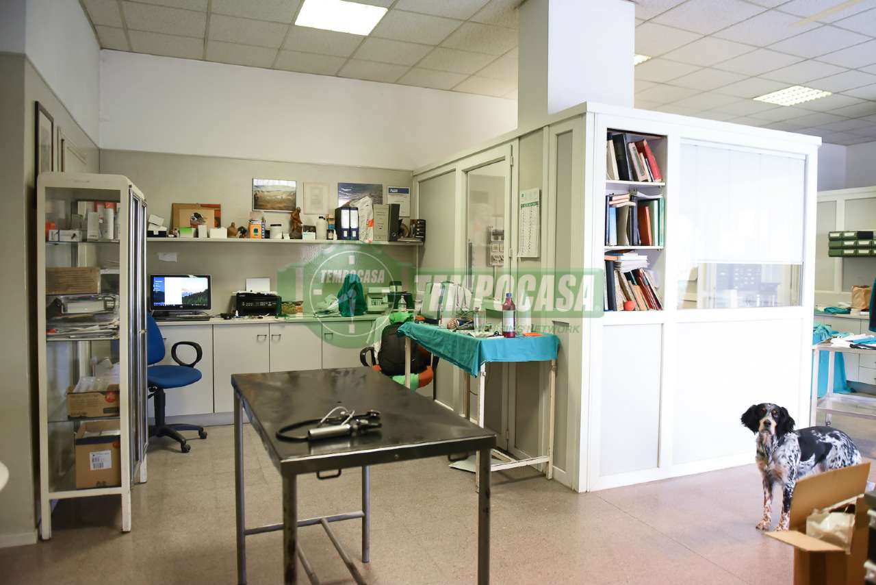Negozio - Loc.Com. MILANO vendita  ISOLA valtellina Tempocasa Milano Farini