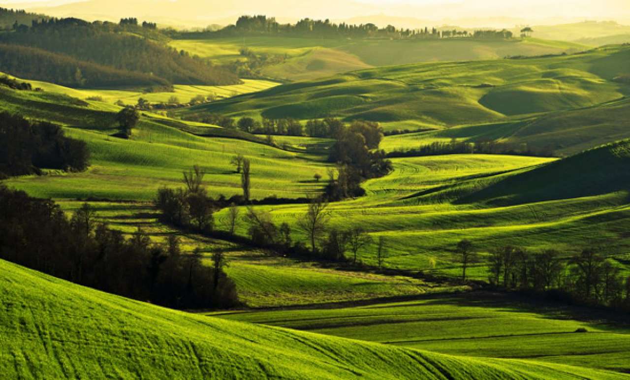 Appartamento SIENA vendita    Brera Immobili di Prestigio