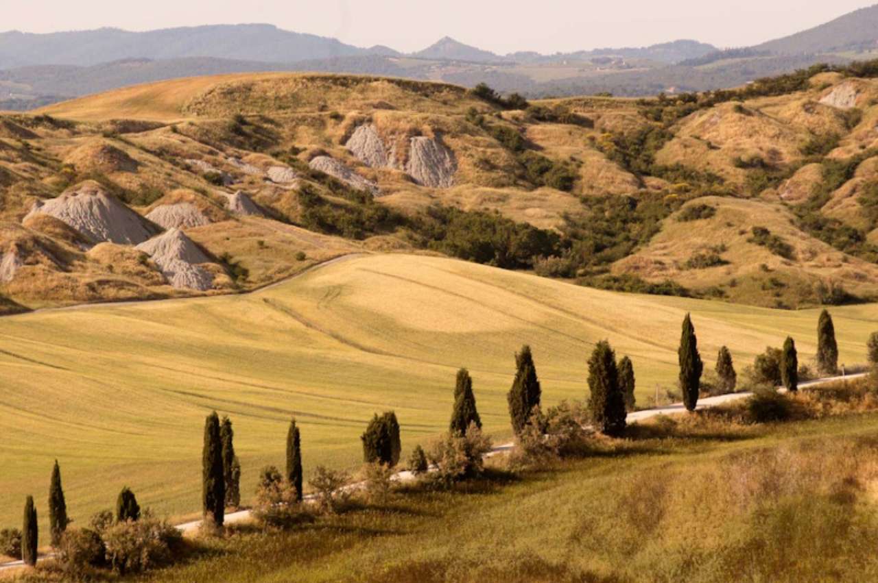 Appartamento SIENA vendita    Brera Immobili di Prestigio