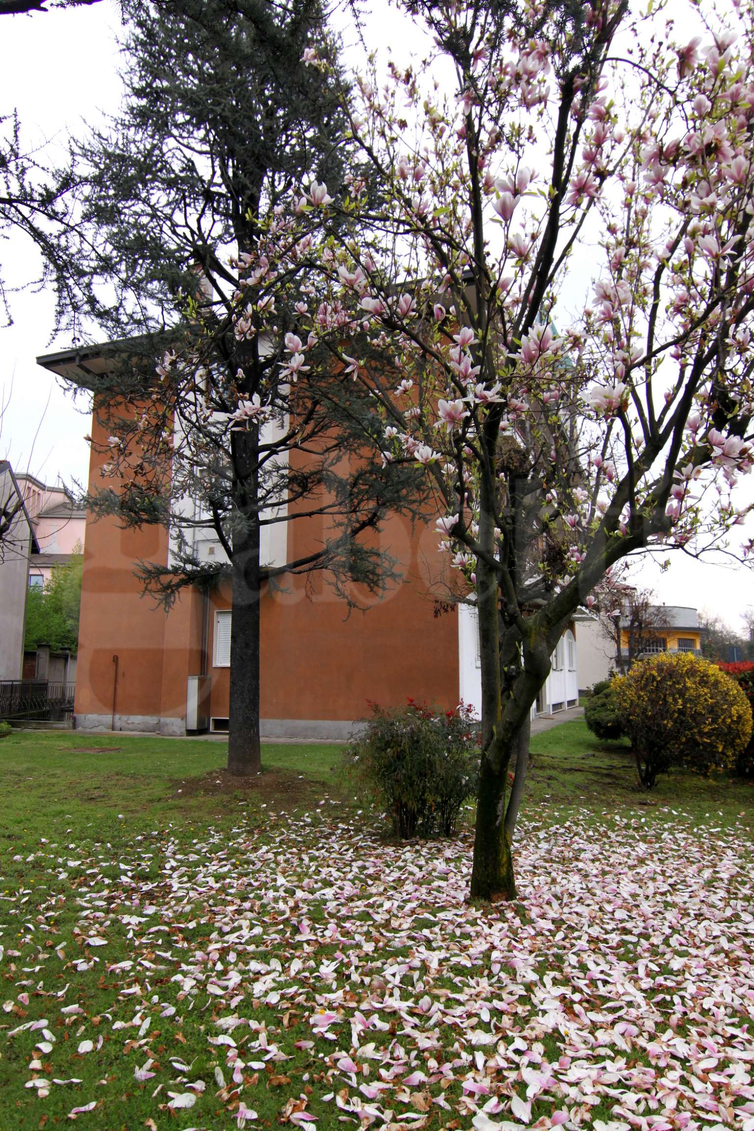  busto arsizio vendita quart:  gabetti - studio 78 di walter pia & c. s.a.s.