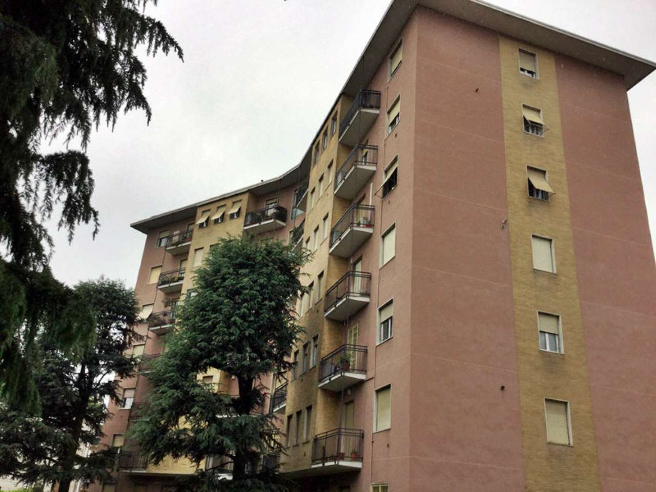 Appartamento MONZA vendita  SAN ROCCO Aquileia Grimaldi Immobiliare Monza snc