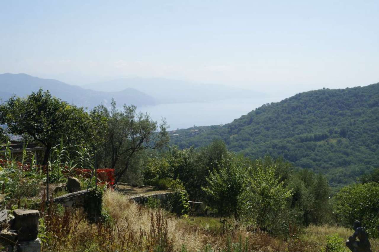  santa margherita ligure vendita quart:  alexandra immobiliare sas