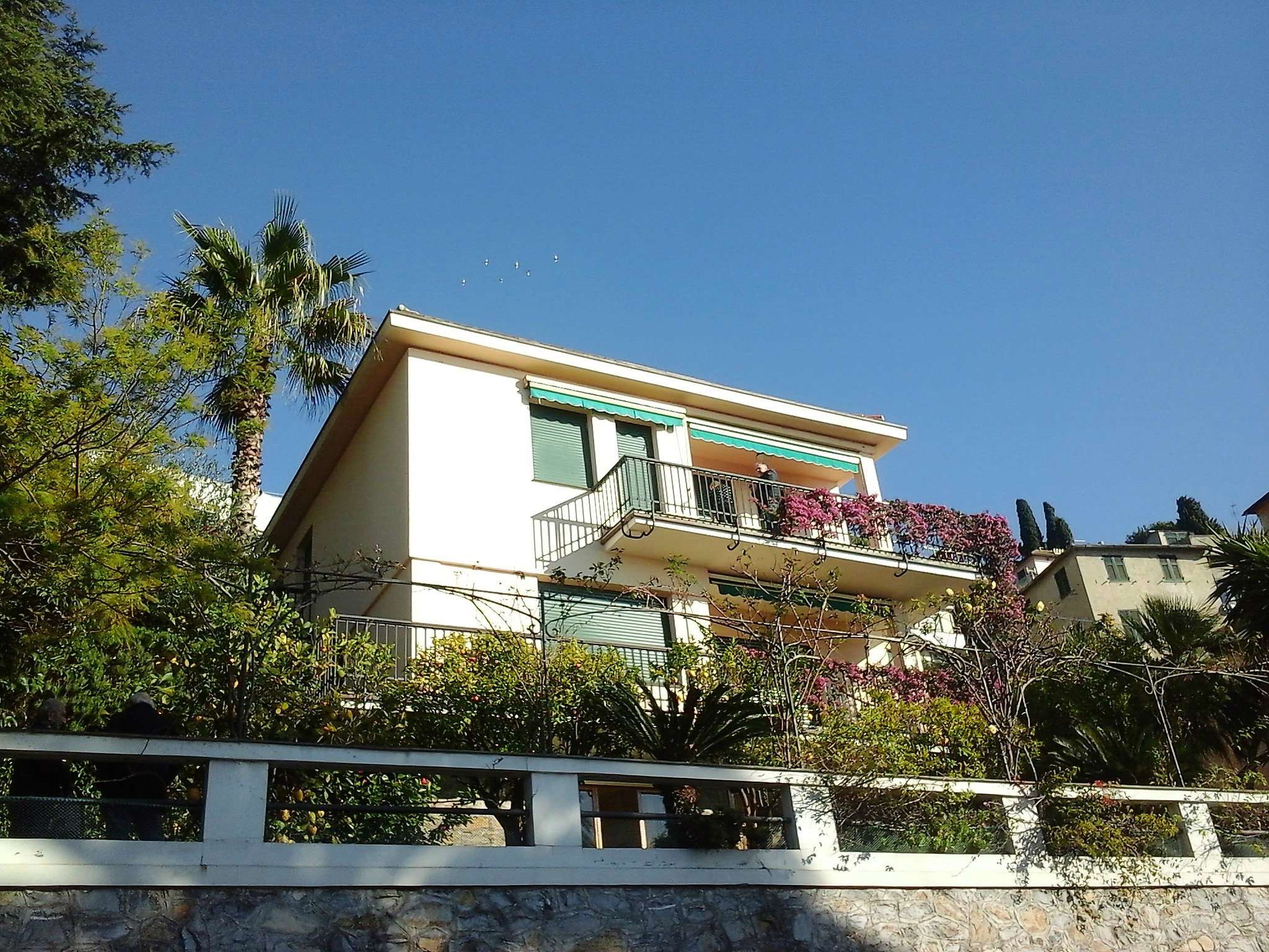 Villa Trifamiliare PIEVE LIGURE vendita   xxv Aprile IMMOBILIARE STUDIO QUARTO