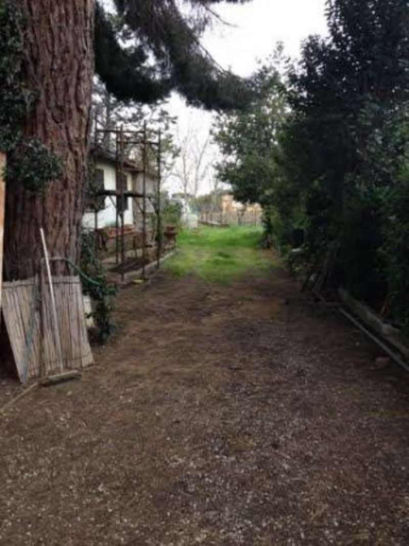 Villa Unifamiliare - Indipendente FRASCATI vendita   Enrico Fermi BENESTARE IMMOBILIARE S.R.L.