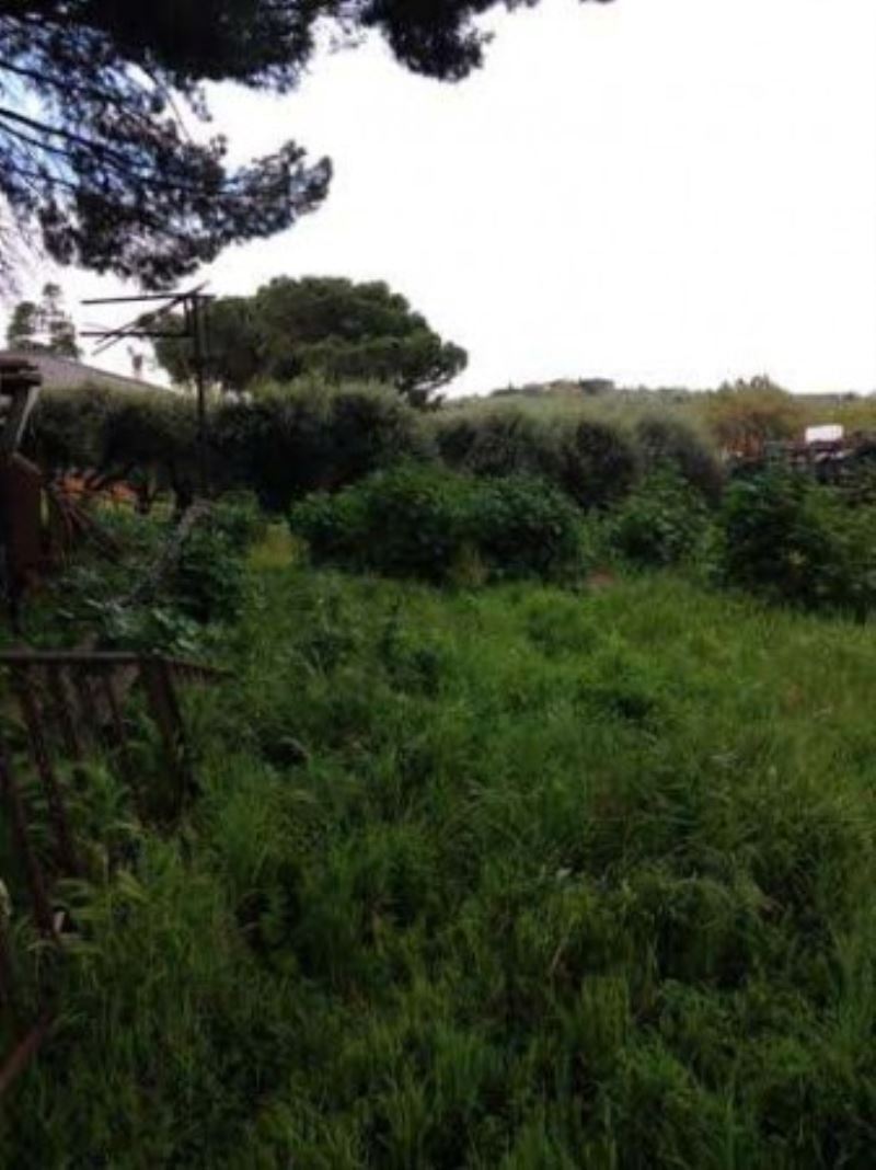 Villa Unifamiliare - Indipendente FRASCATI vendita   Enrico Fermi BENESTARE IMMOBILIARE S.R.L.