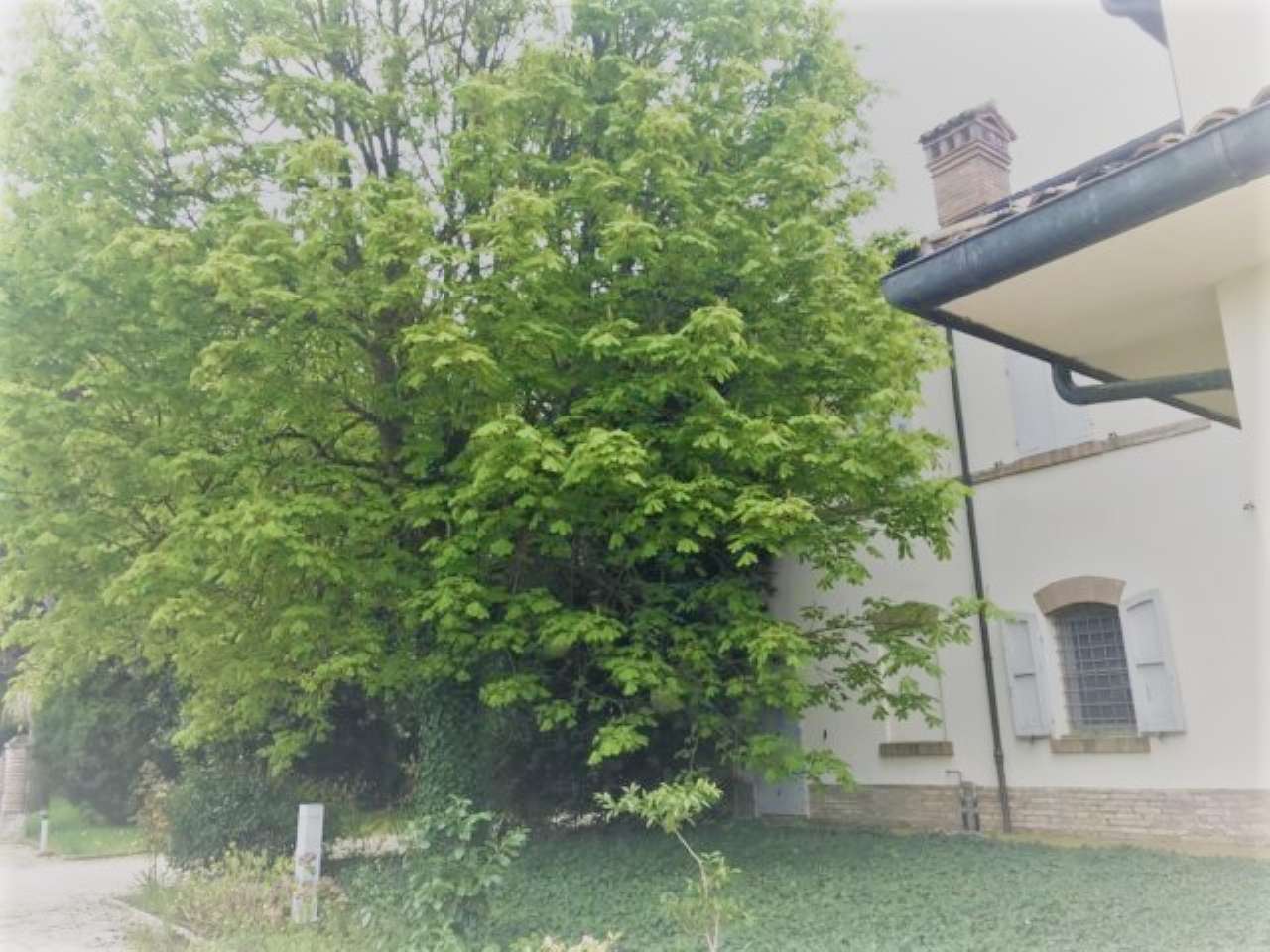 Villa RAVENNA vendita  SAN PIETRO IN VINCOLI  quatarca immobiliare sas