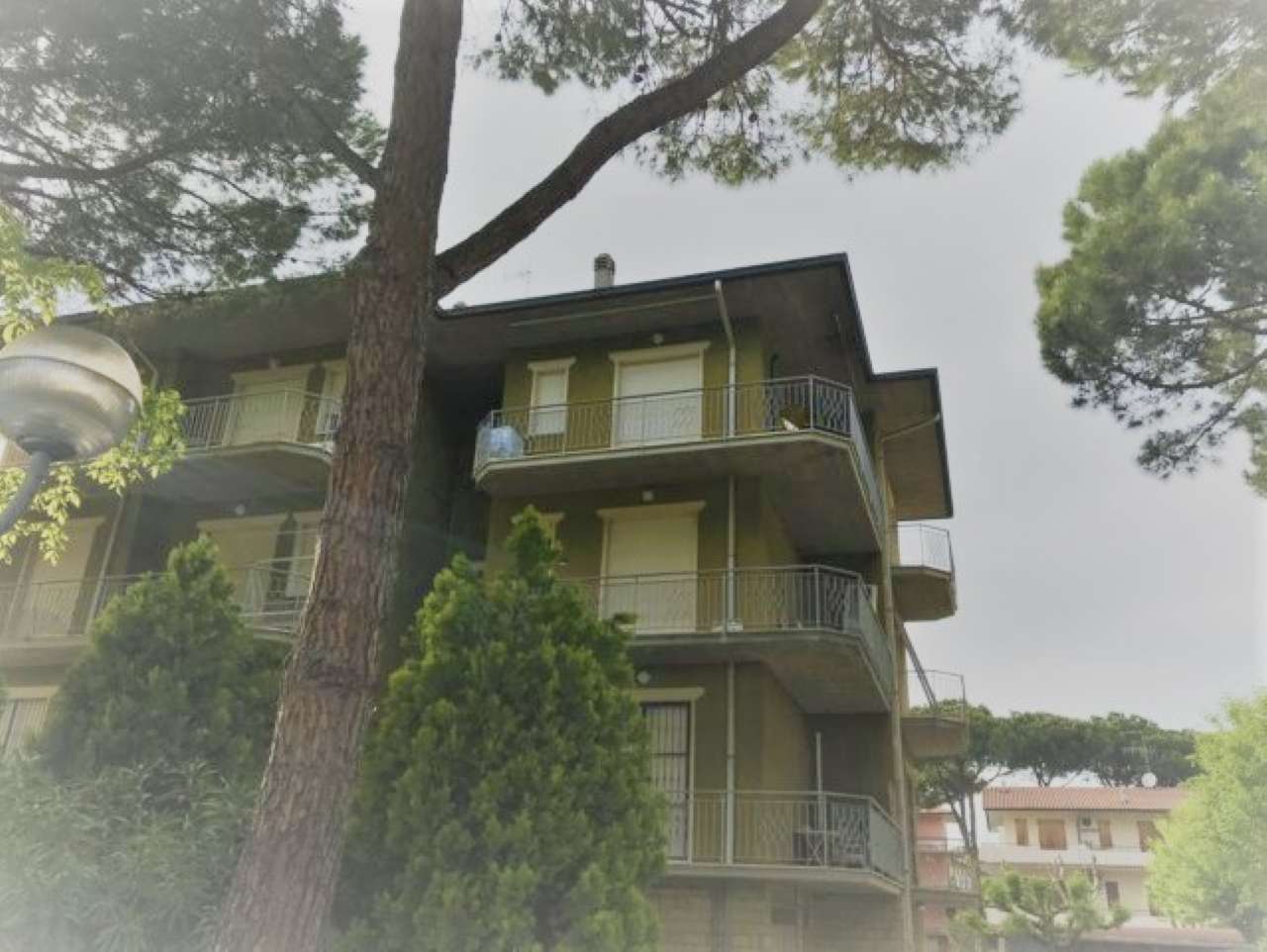 Appartamento CERVIA vendita    quatarca immobiliare sas