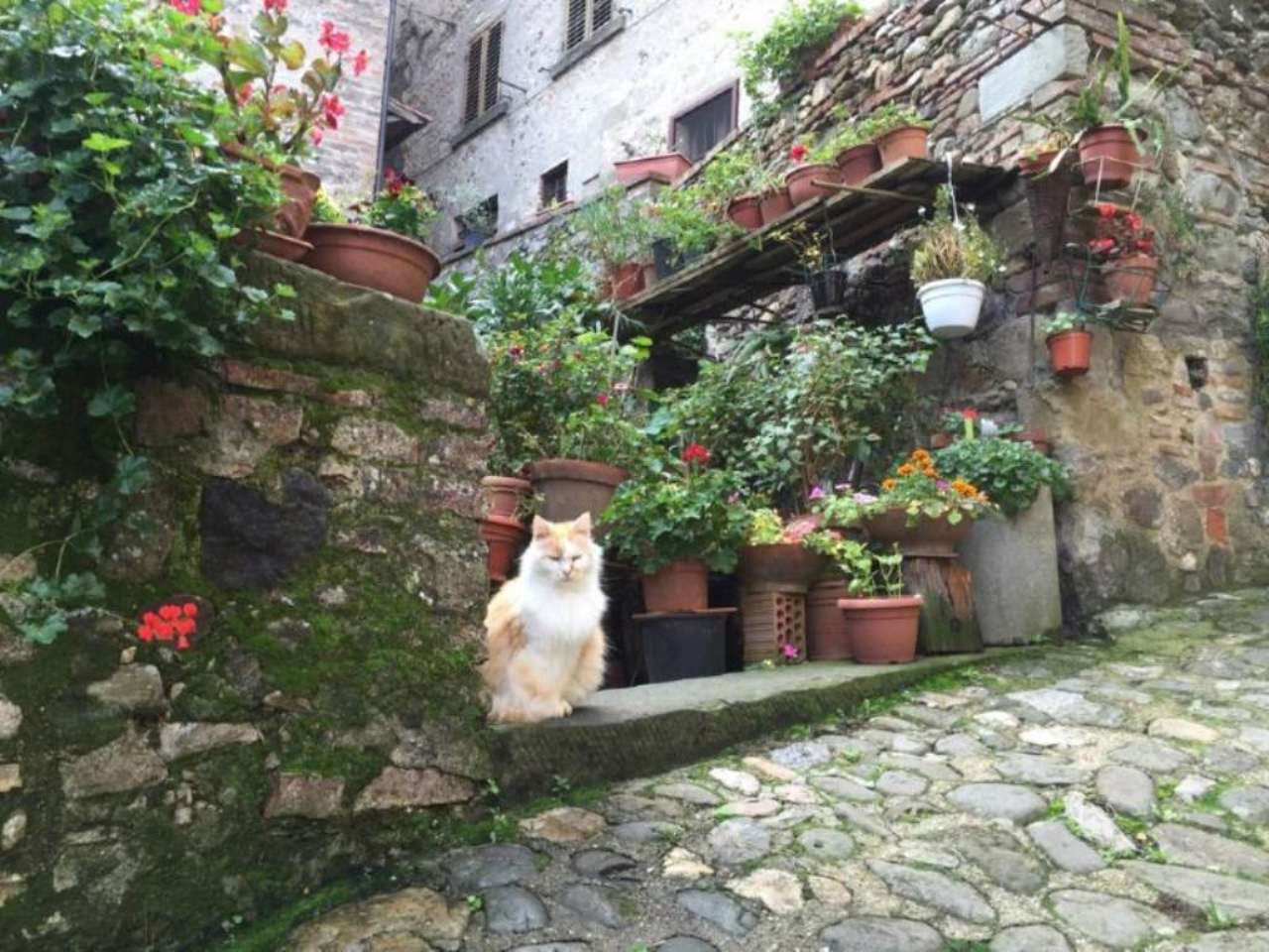  anghiari vendita quart:  quatarca immobiliare sas