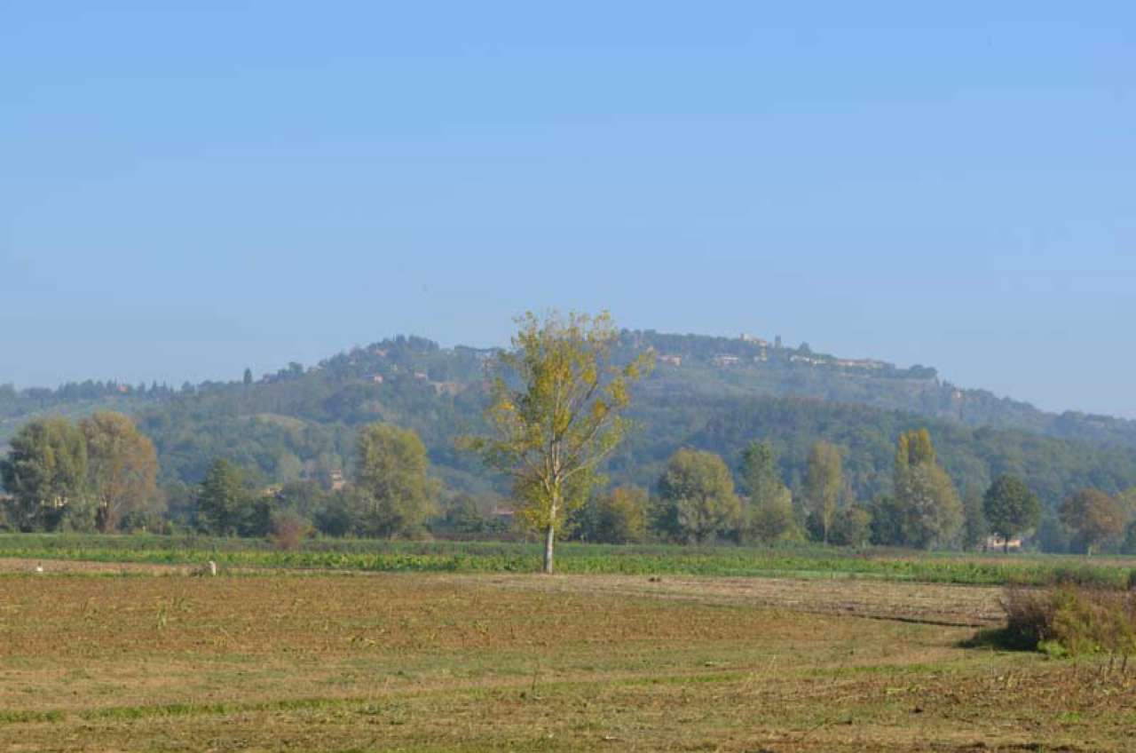  monterchi vendita quart:  quatarca immobiliare sas