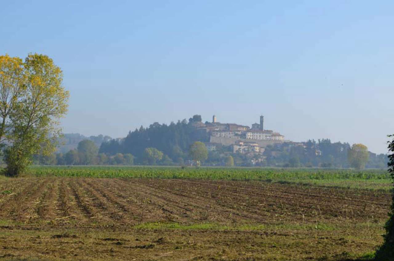 Rustico - Cascina MONTERCHI vendita    quatarca immobiliare sas