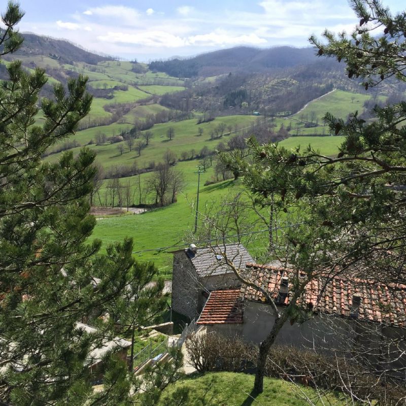  bagno di romagna vendita quart:  quatarca immobiliare sas