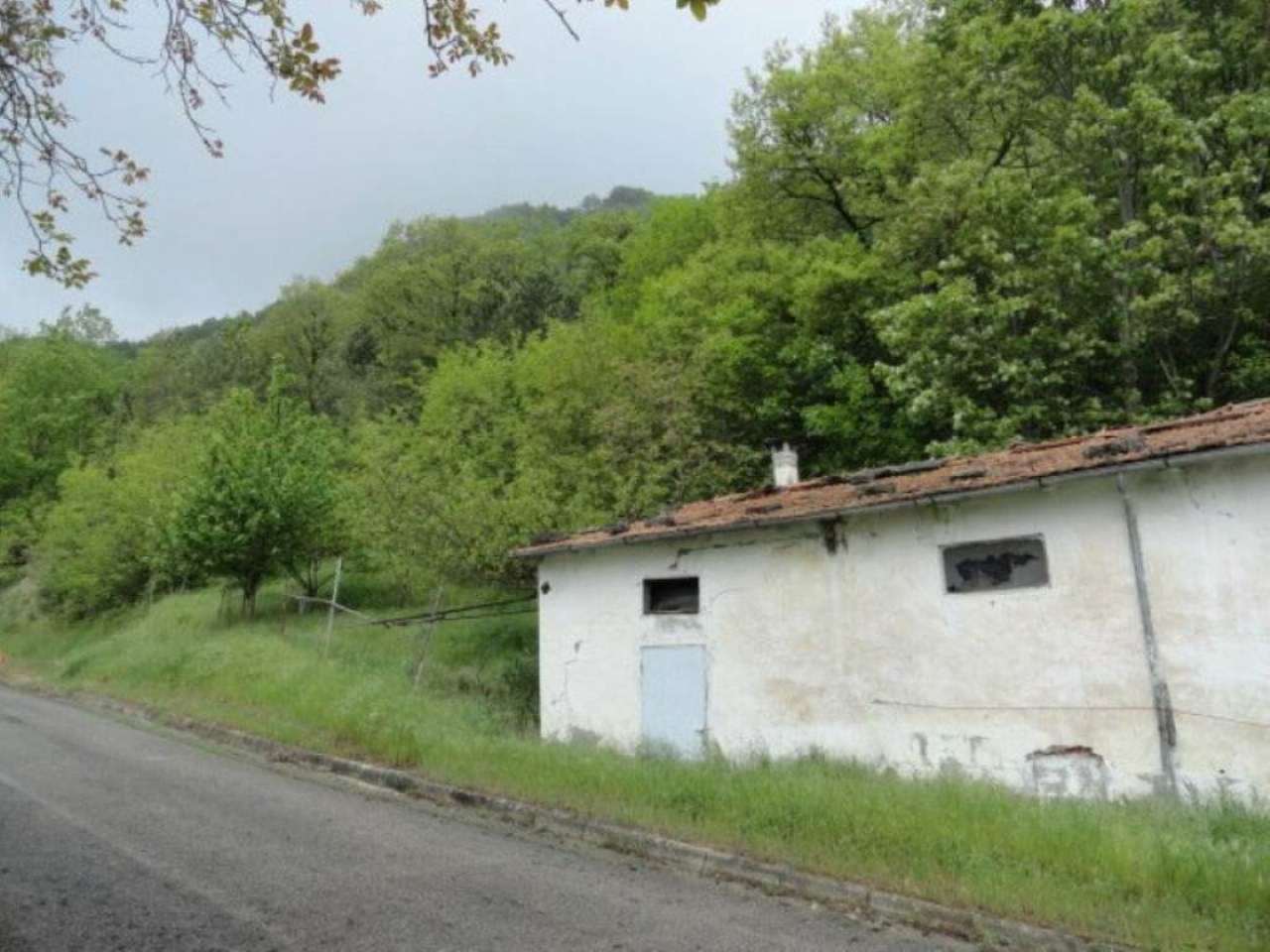 Rustico - Cascina SANTA SOFIA vendita   provinciale 112 quatarca immobiliare sas