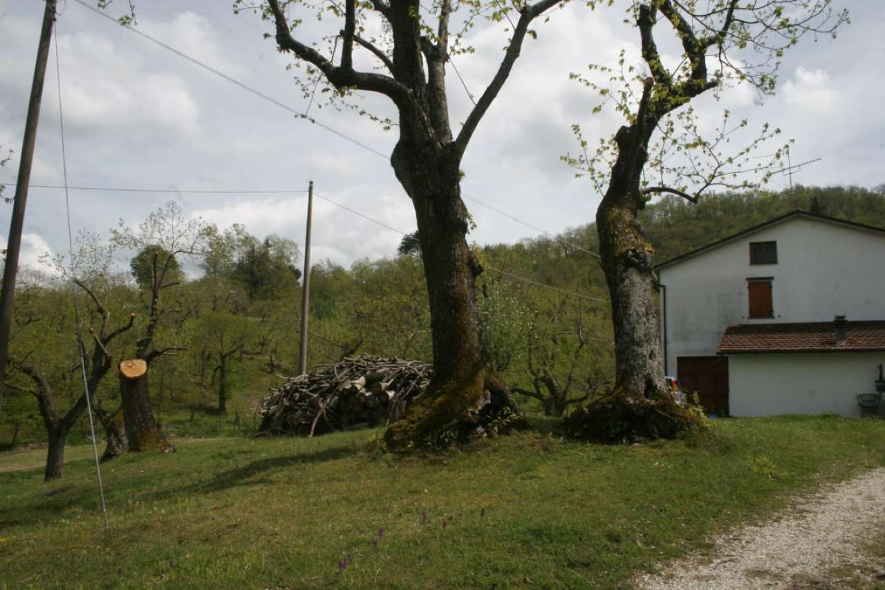 Appartamento BAGNO DI ROMAGNA vendita   Prato del prete quatarca immobiliare sas