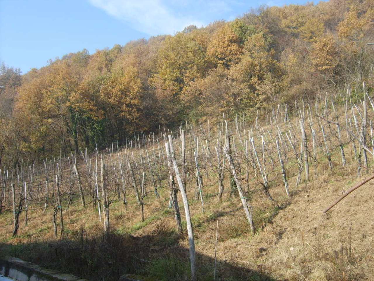 Villa Unifamiliare - Indipendente TORRIONI vendita   contrada pagano, torrioni(AV) FIRST HOUSE s.r.l.