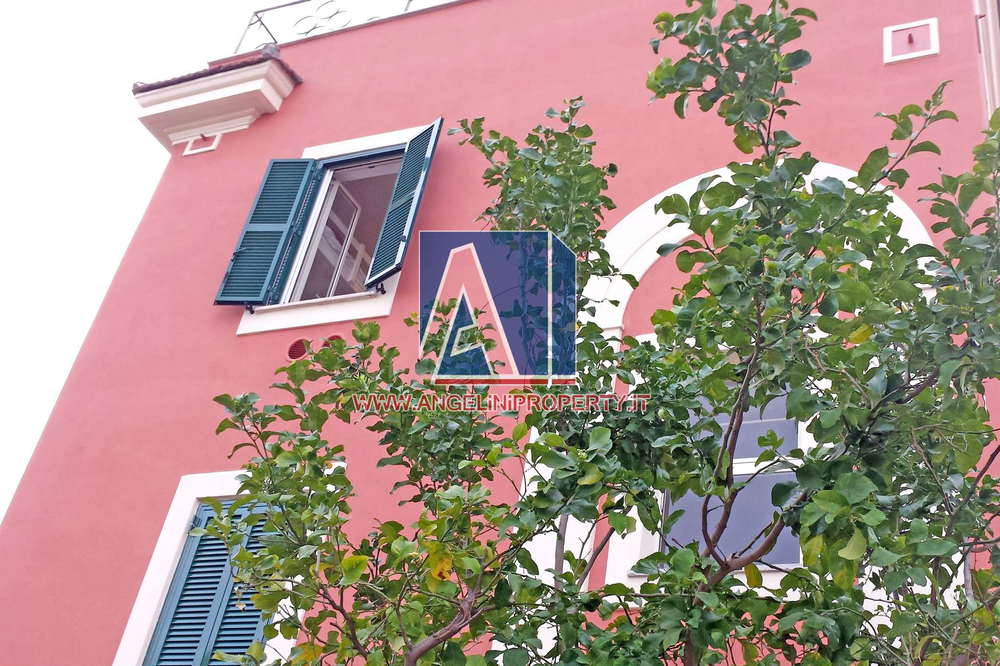Appartamento ROMA affitto  TUSCOLANO (VI MUN.) dei Ciceri Angelini Property