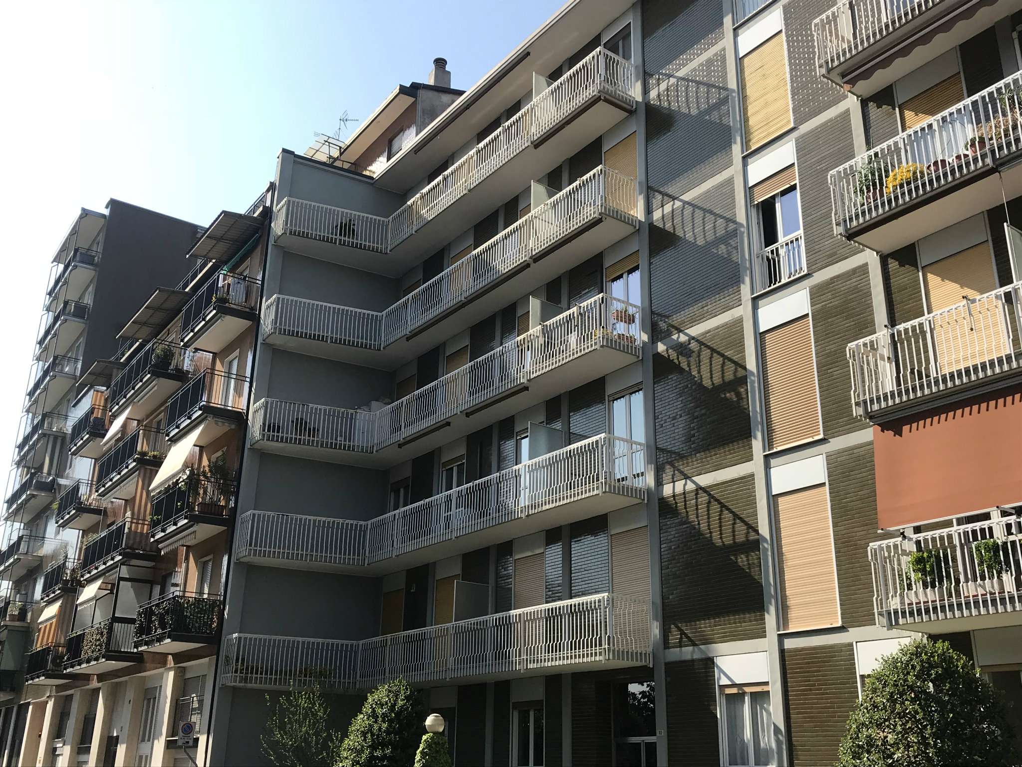 Appartamento SESTO SAN GIOVANNI vendita   Nievo SERVICE IMMOBILIARE